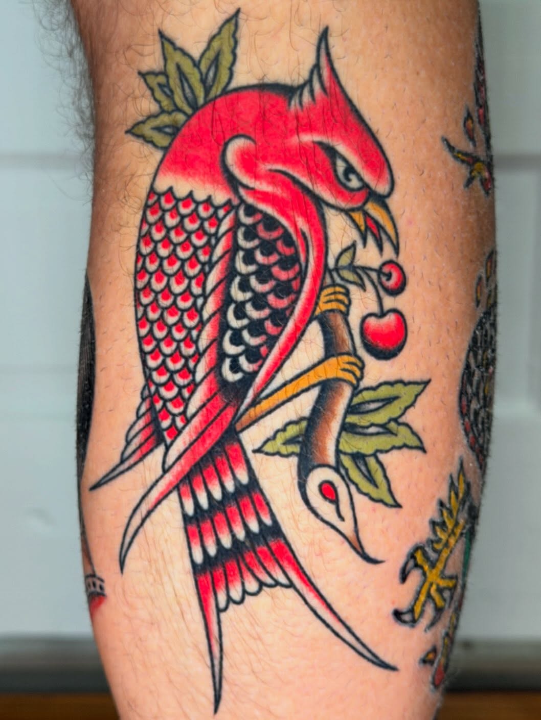 Bird American traditional tattoo on the forearm by Michael Barnhill Tattooer, Charlotte, North Carolina