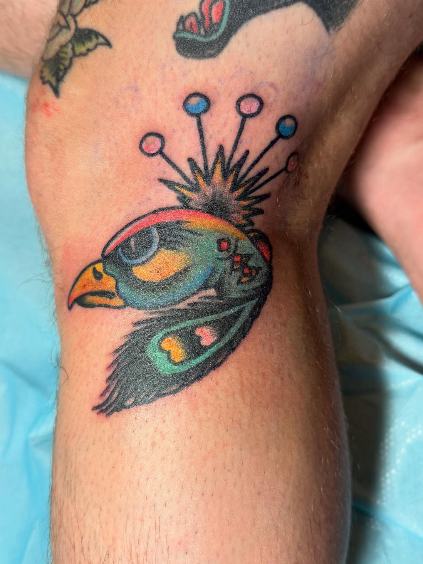 Bird American traditional tattoo on the forearm by Jesse Coldiron
