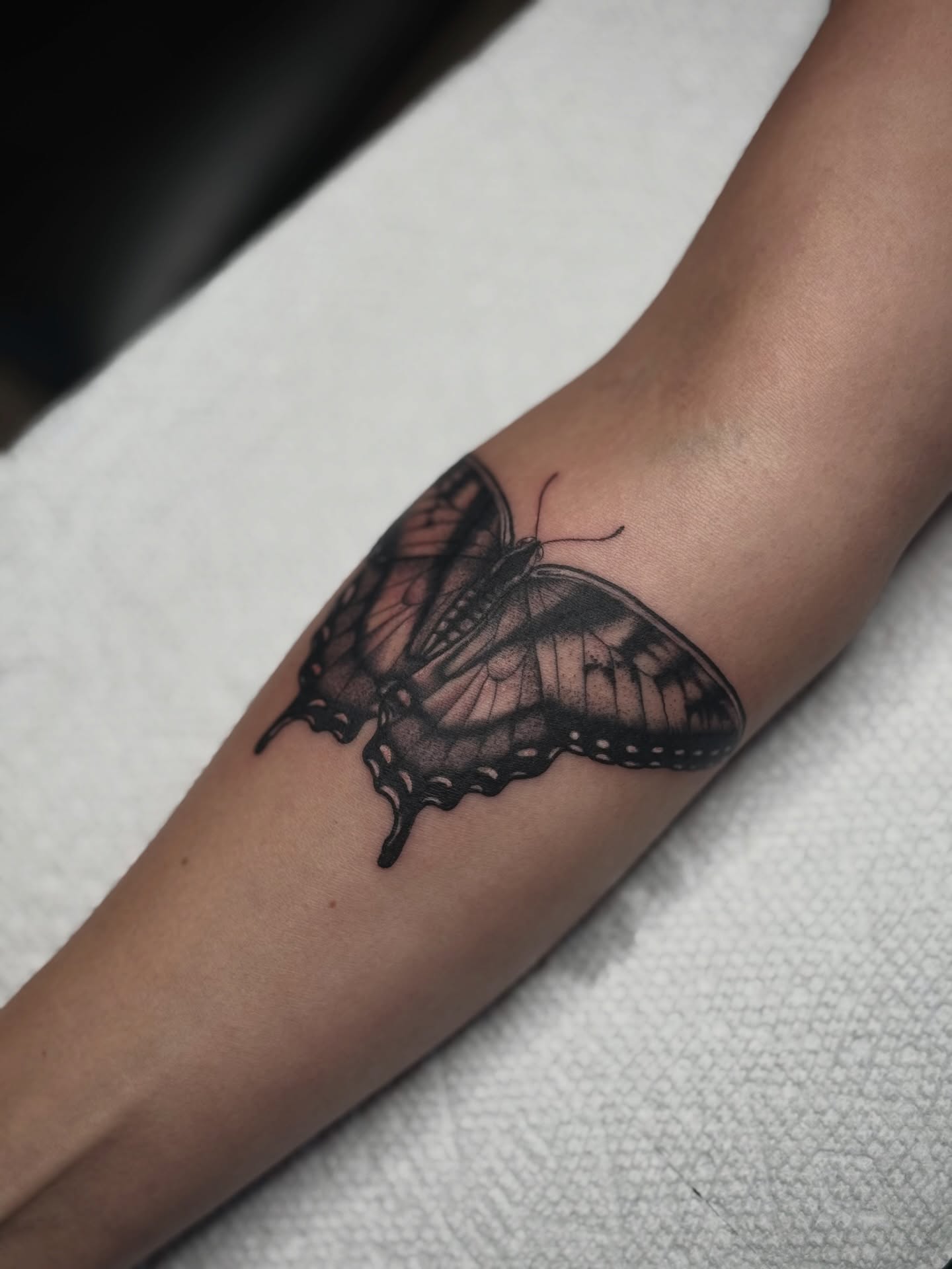 Butterfly black and grey tattoo on the forearm by K9