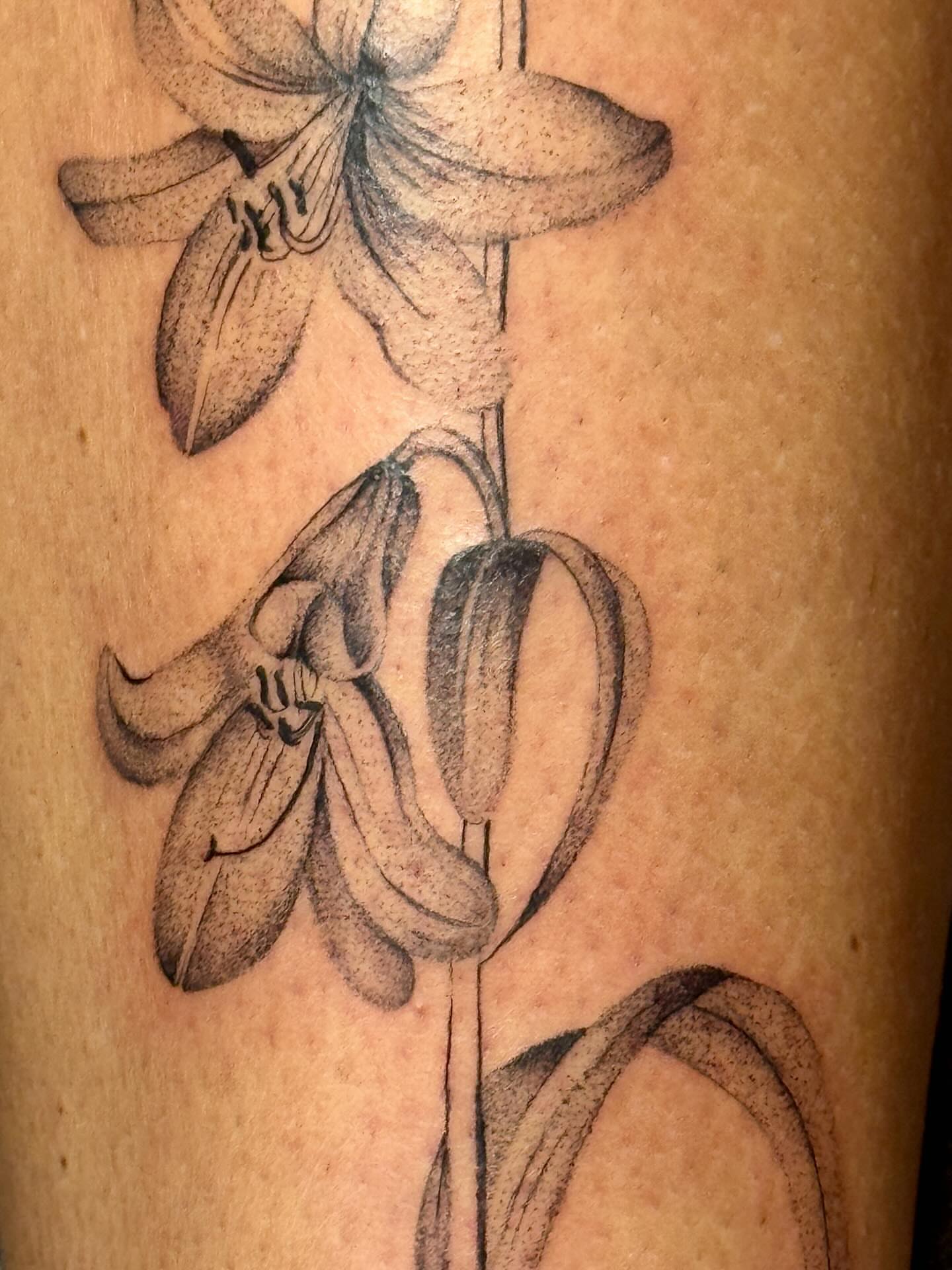 Lily flowers black and grey tattoo on the forearm by tattoos by miss jackie o 🎱