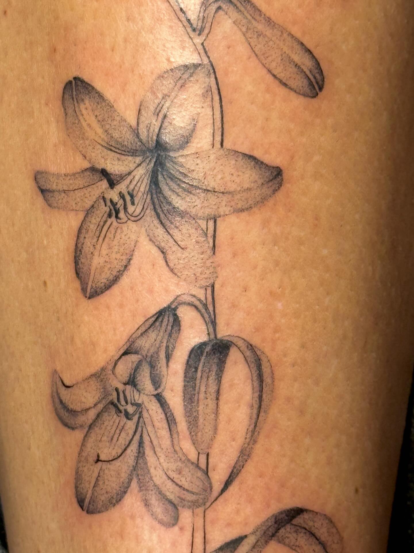 Lily black and grey tattoo on the upper arm by tattoos by miss jackie o 🎱