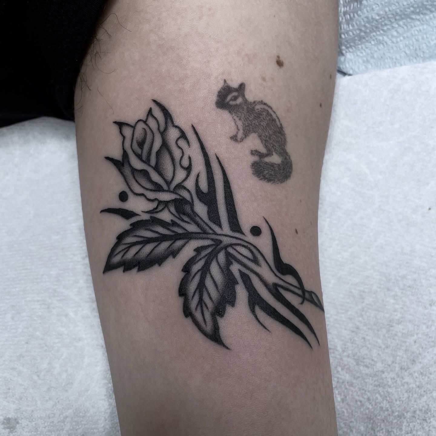 Rose and squirrel black and grey tattoo on the forearm by Dakota Jenner