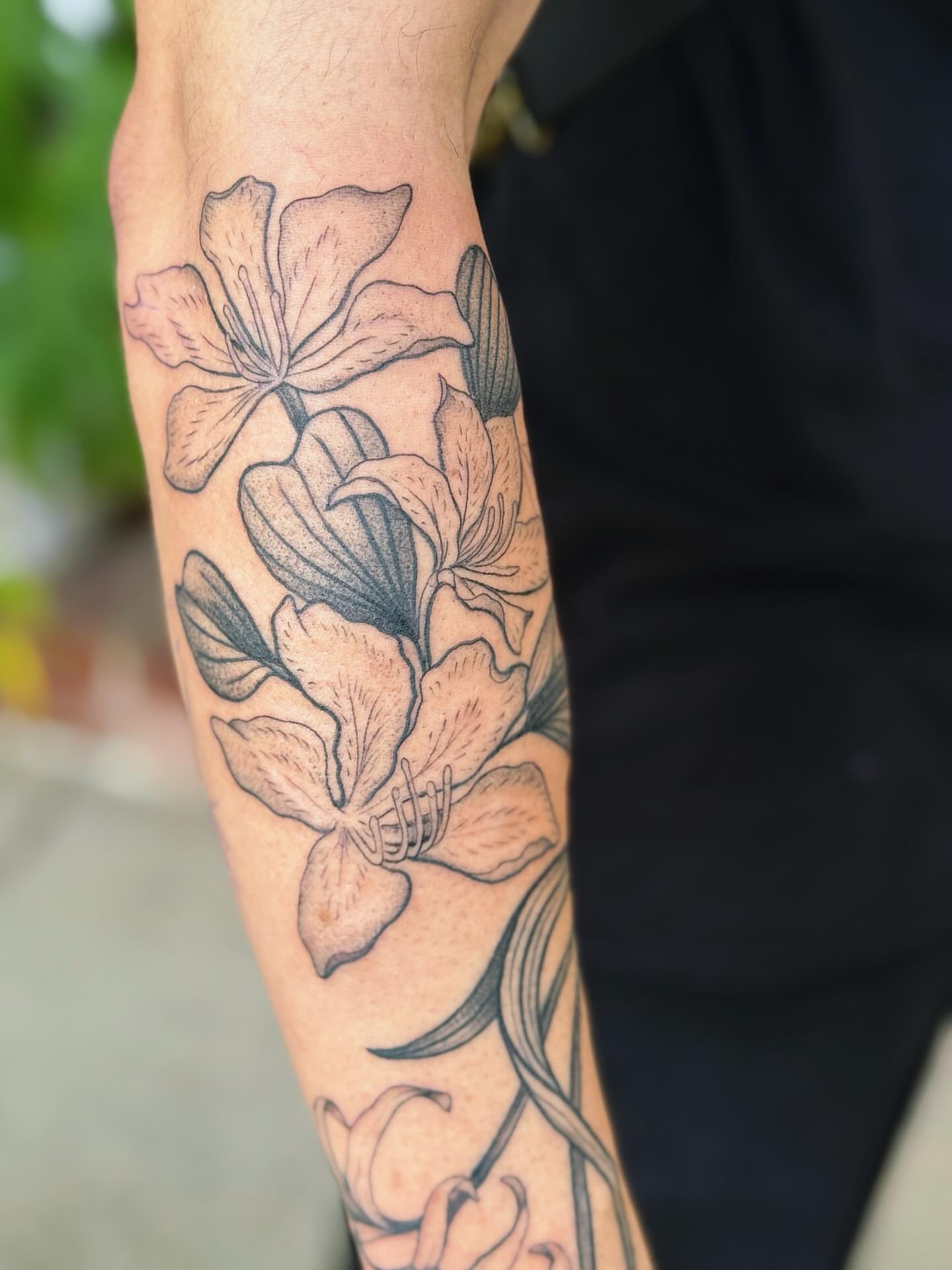 Lilies black and grey tattoo on the forearm by π½πππππ π½πππππππ, New Orleans, Louisiana