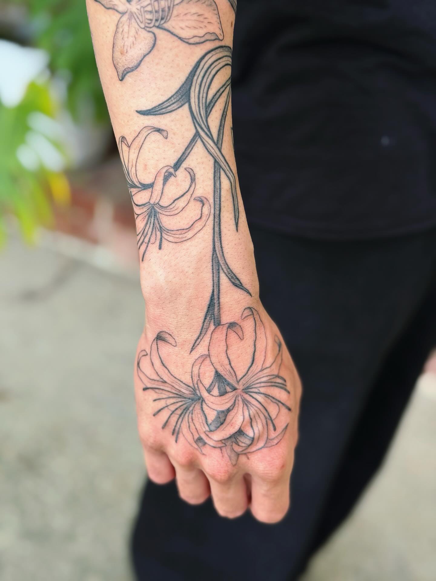 Lily black and grey tattoo on the forearm by π½πππππ π½πππππππ, New Orleans, Louisiana