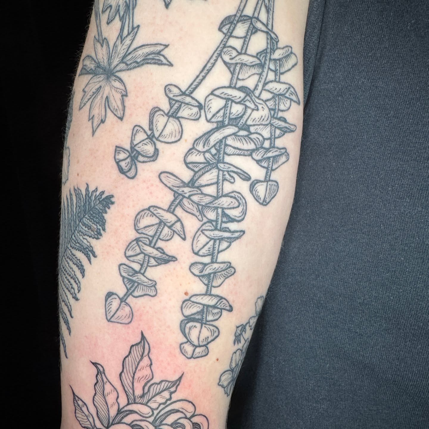 Vine black and grey tattoo on the forearm by Lora Bird