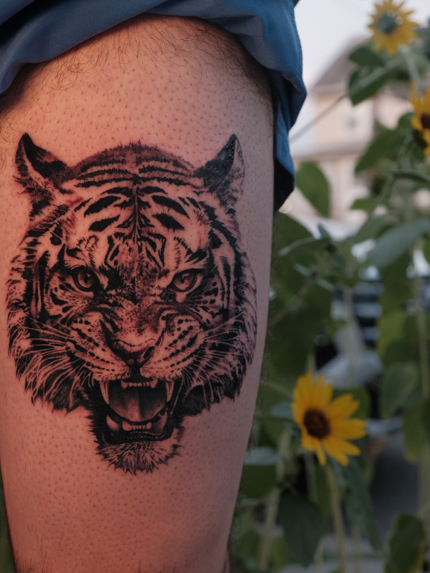 Tiger dotwork tattoo on the thigh by JoeyJazz