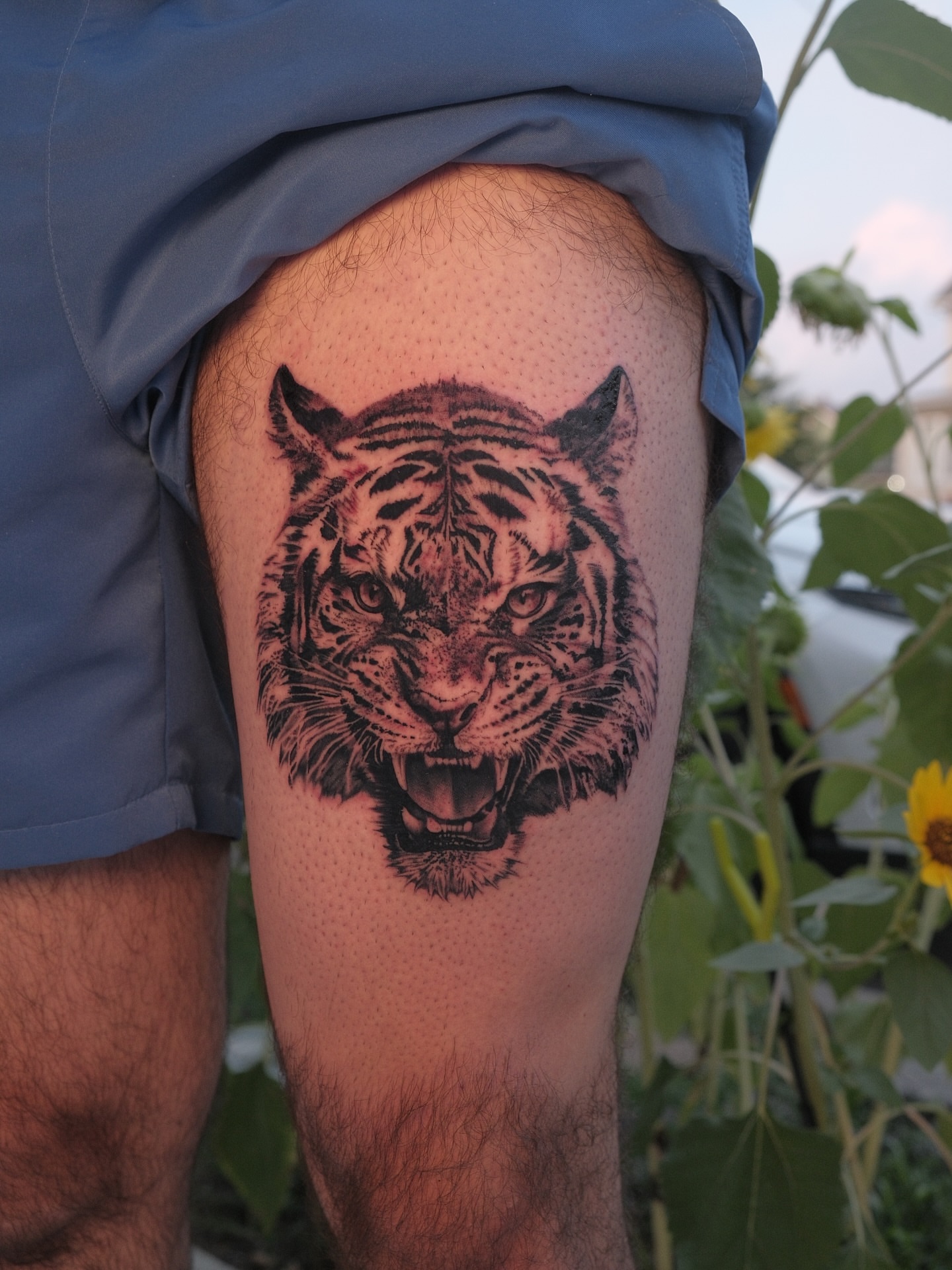 Tiger realism tattoo on the thigh by JoeyJazz