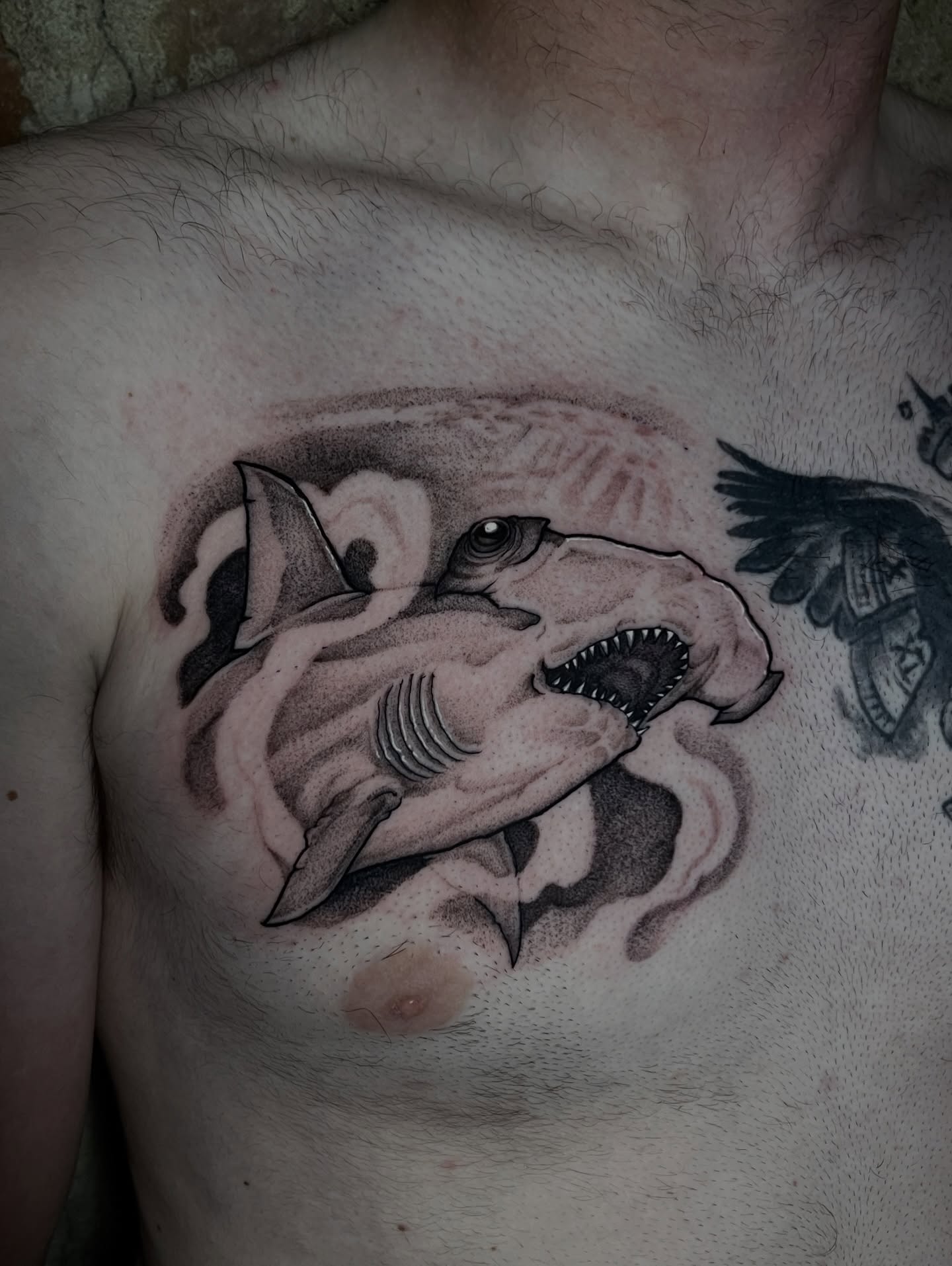 Shark realism tattoo on the chest by Xavi Xiva TATTOO