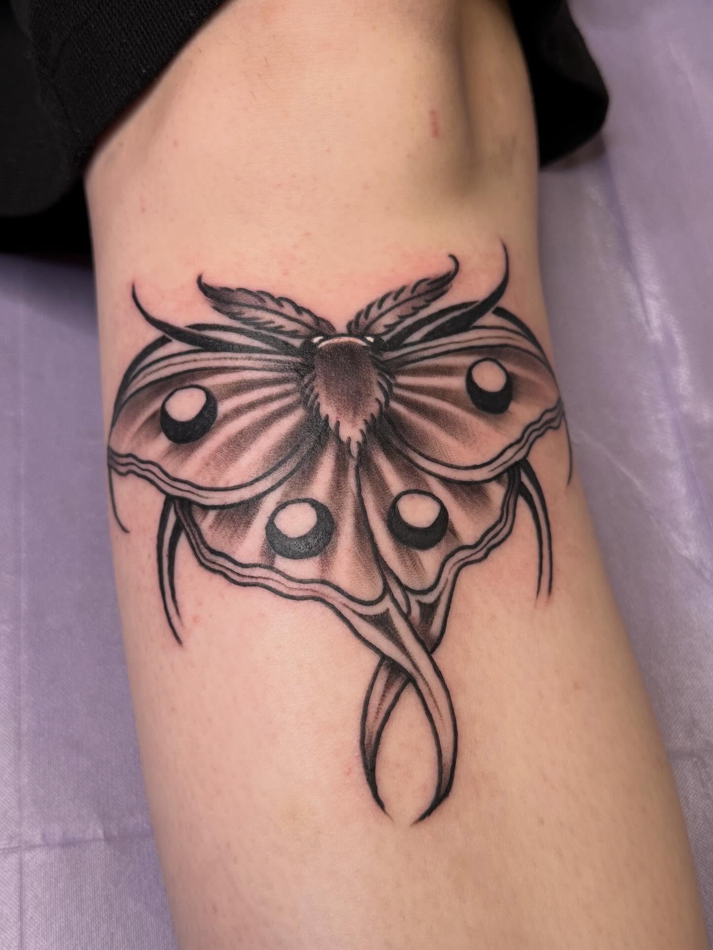 Moth black and grey tattoo on the forearm by Chelsea Graham, Seattle, Washington
