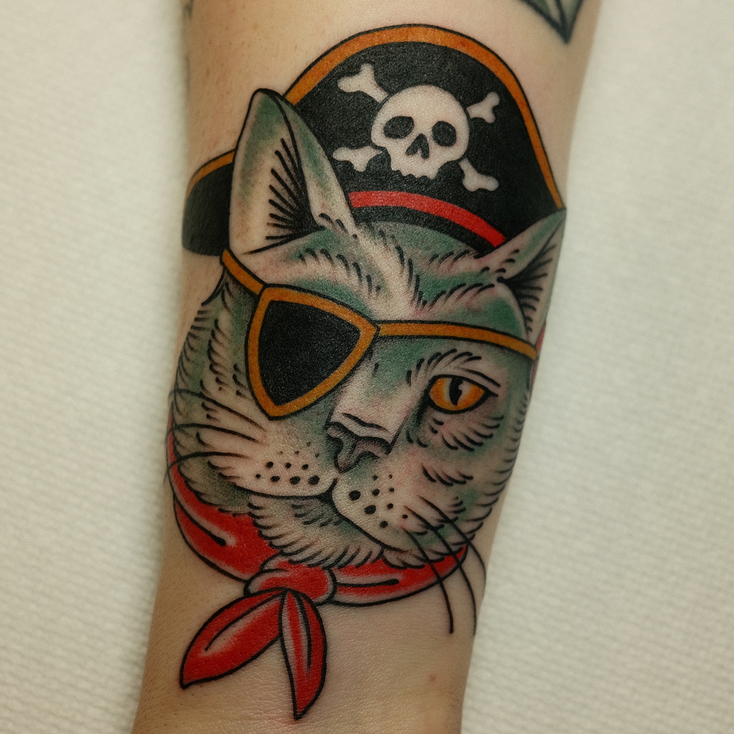 Cat pirate American traditional tattoo on the forearm by Tony Talbert, Fredericksburg, Virginia