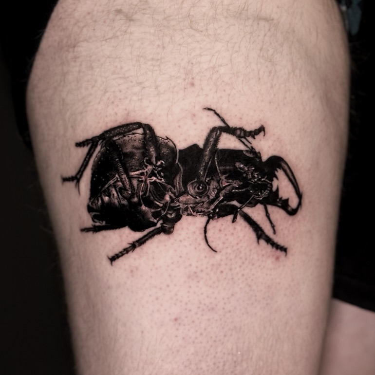 Tattoo by @killjoystabs β realism, black_and_grey