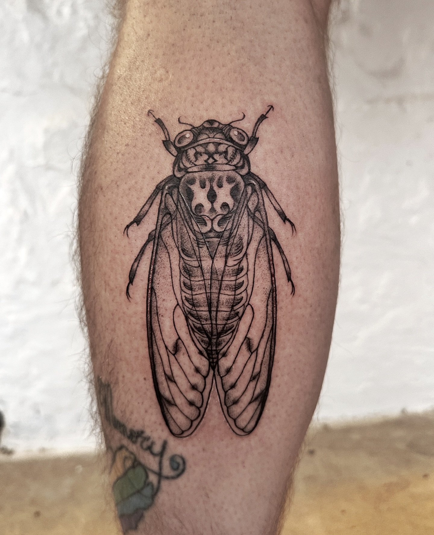 Cicada black and grey tattoo on the thigh by Micky, Austin, Texas