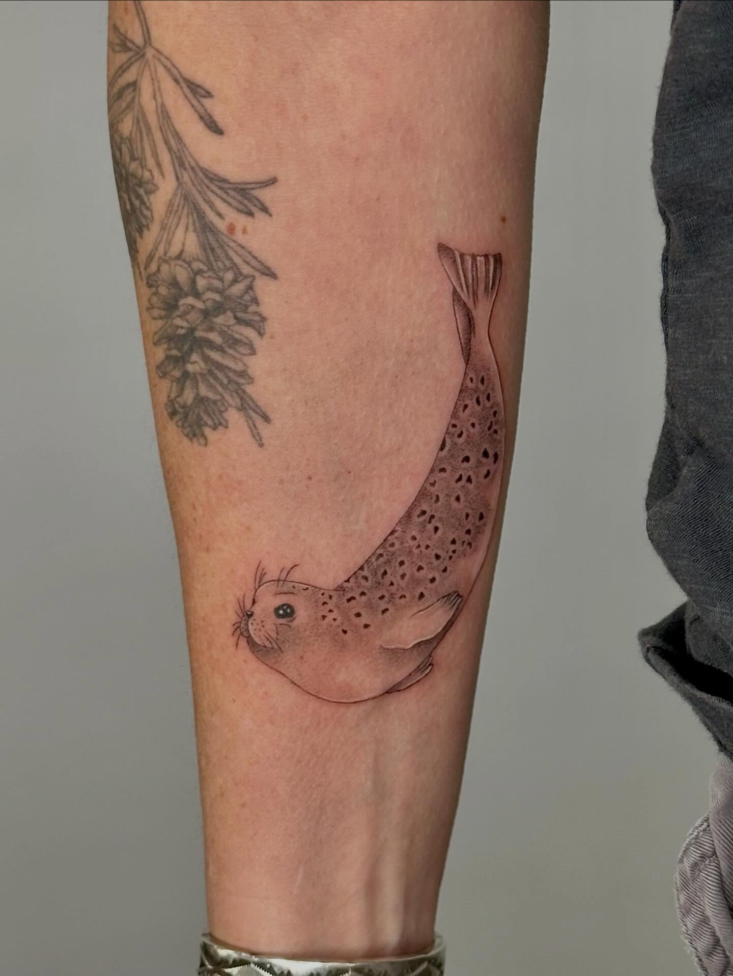 Seal black and grey tattoo on the forearm by 🌼Kristen Kooster Tattoos🌼