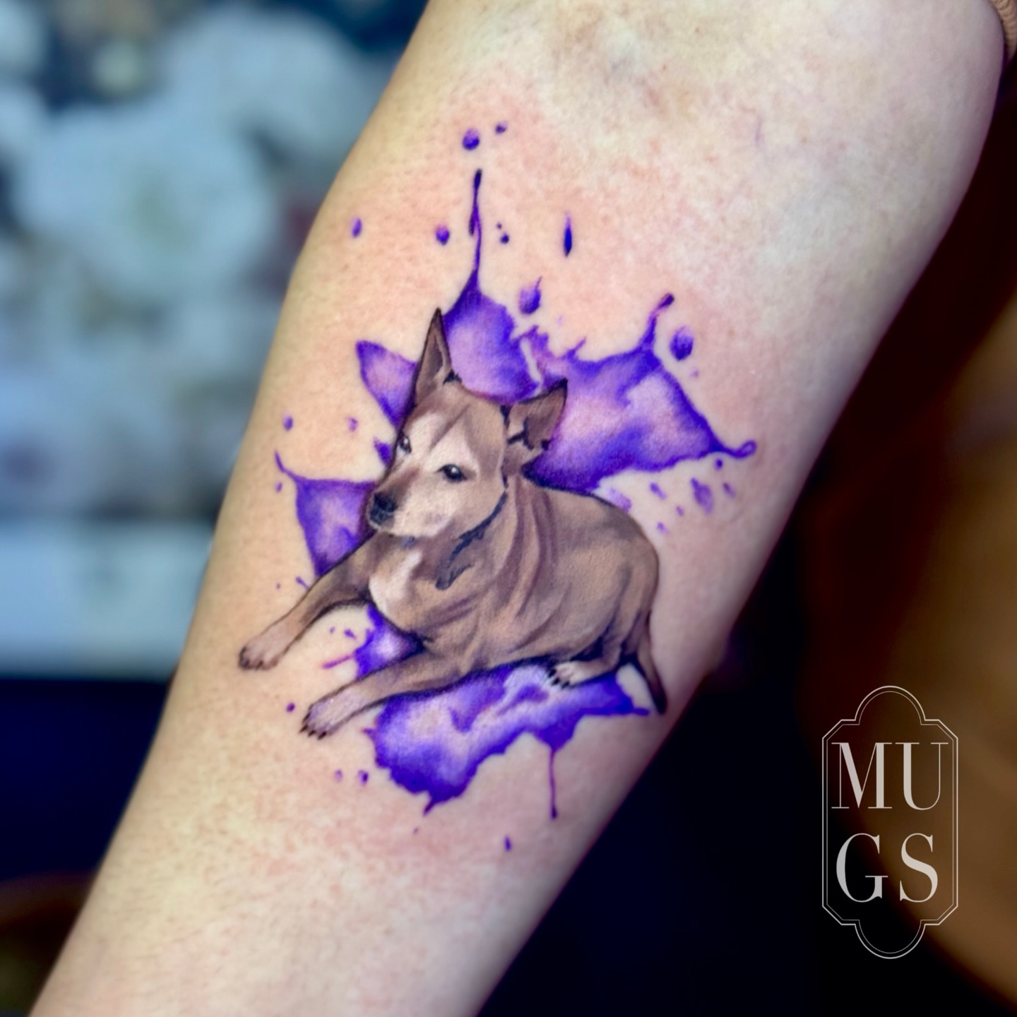 Dog watercolor tattoo on the forearm by Emily Andreozzi