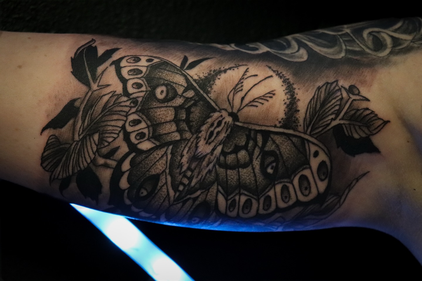 Butterfly dotwork tattoo on the forearm by Beto Tats, Round Rock, Texas