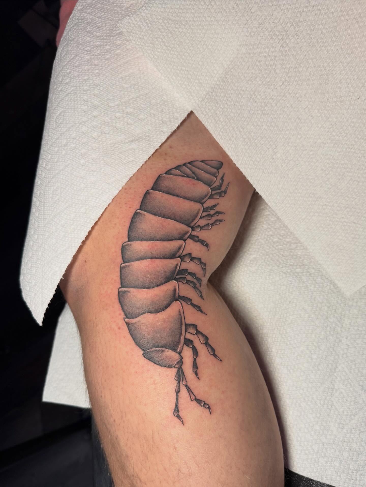 Millipede black and grey tattoo on the forearm by amelia morse ⋆。°✩ mi tattoo artist