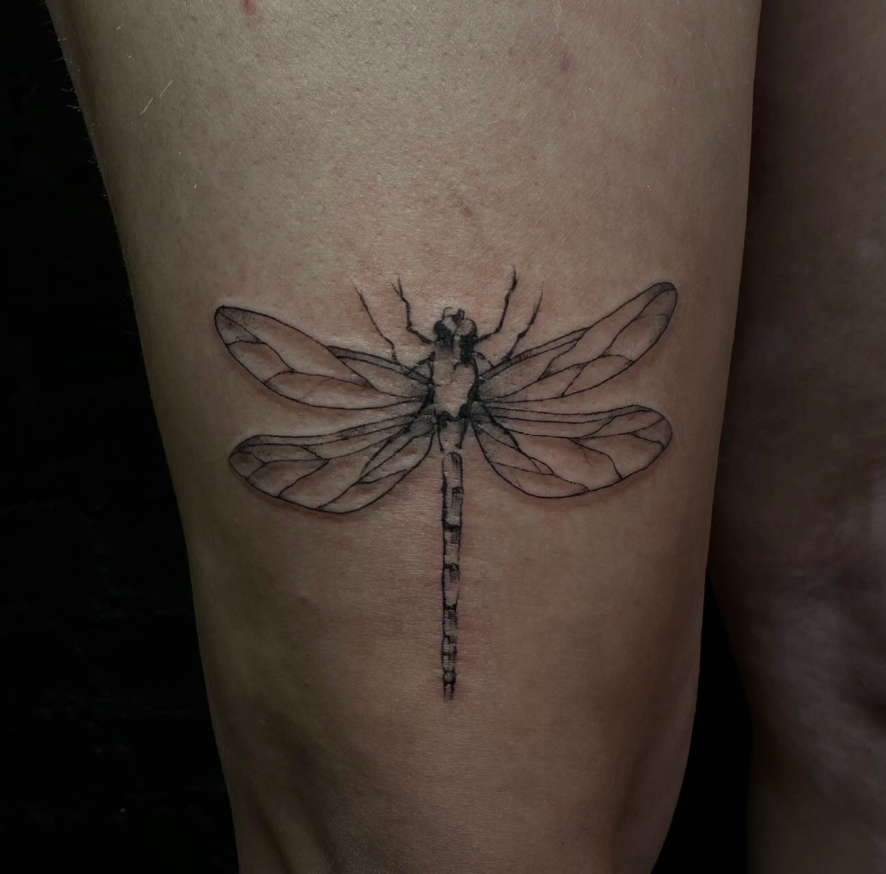Dragonfly black and grey tattoo on the forearm by emma christine