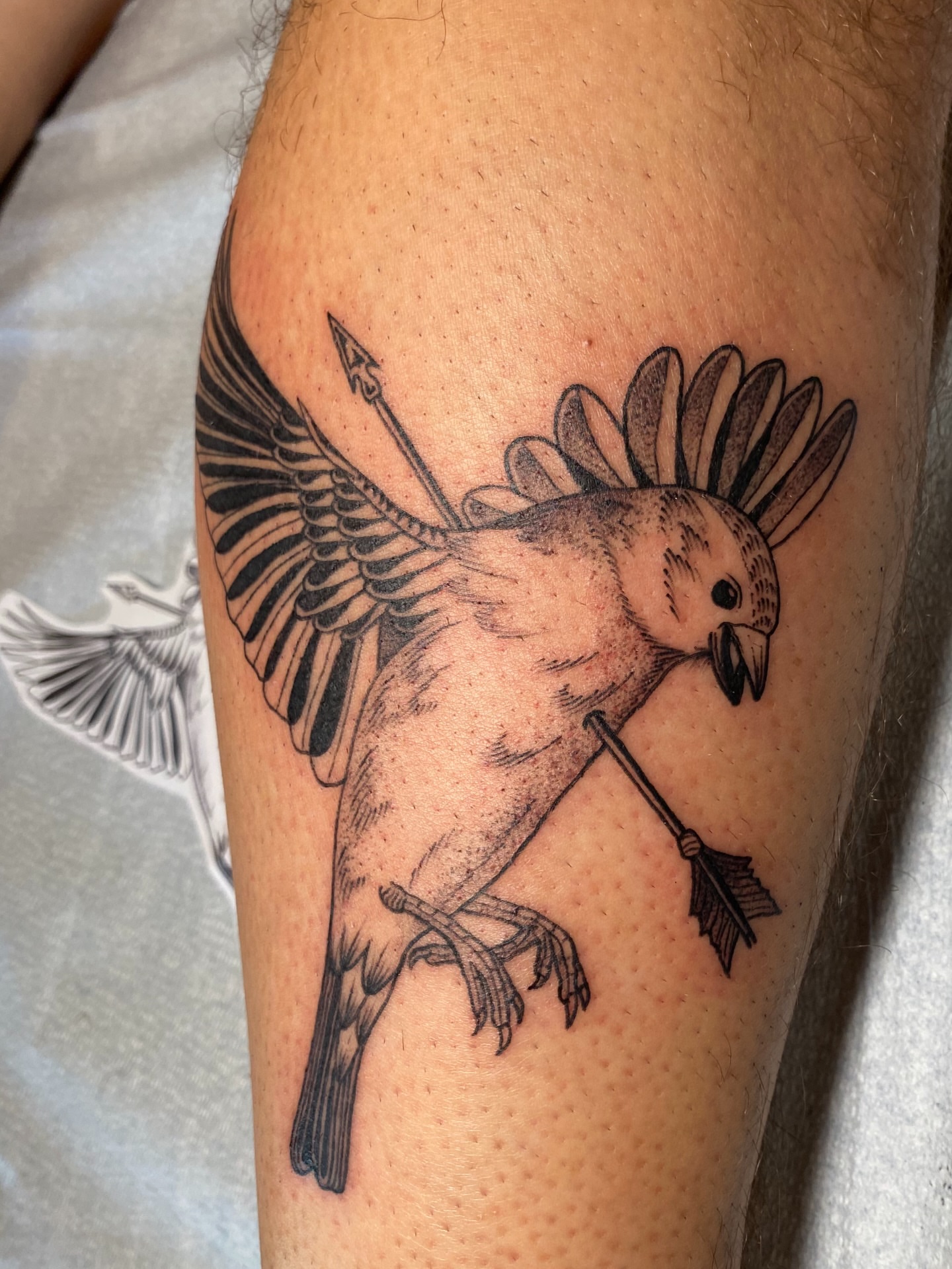 Crow with spear black and grey tattoo on the forearm by Avery Kane