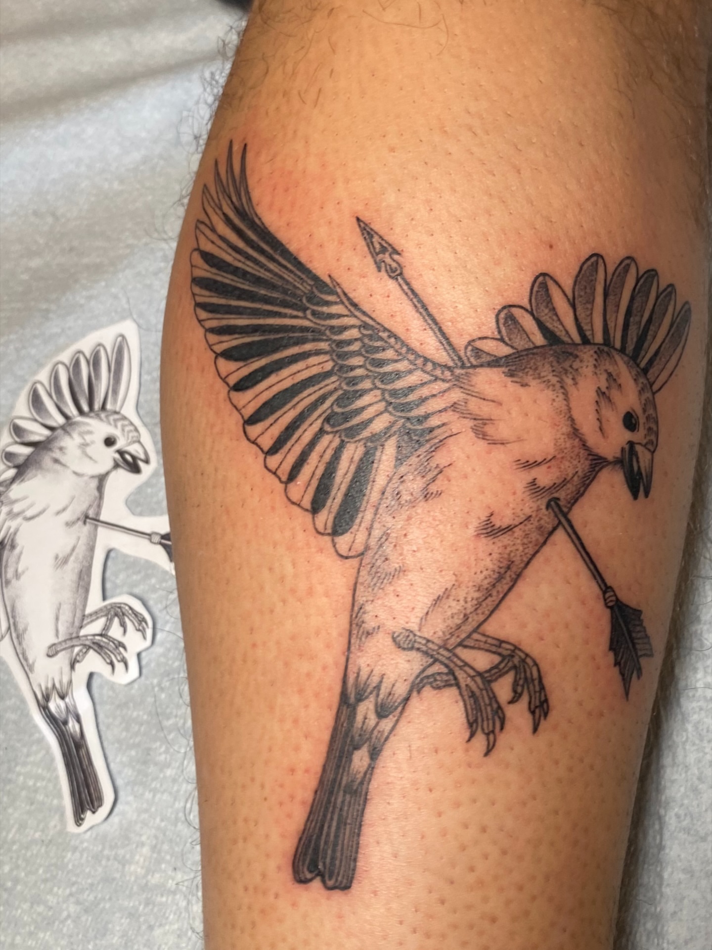 Sparrow with arrow black and grey tattoo on the thigh by Avery Kane