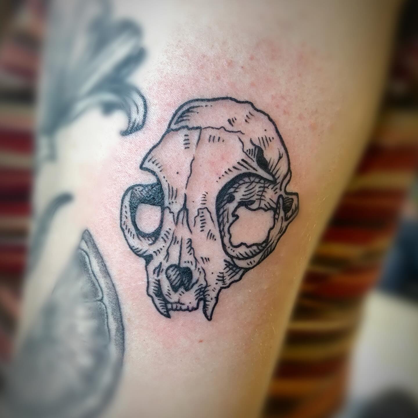 Skull black and grey tattoo on the forearm by Ava Glory Tattoos