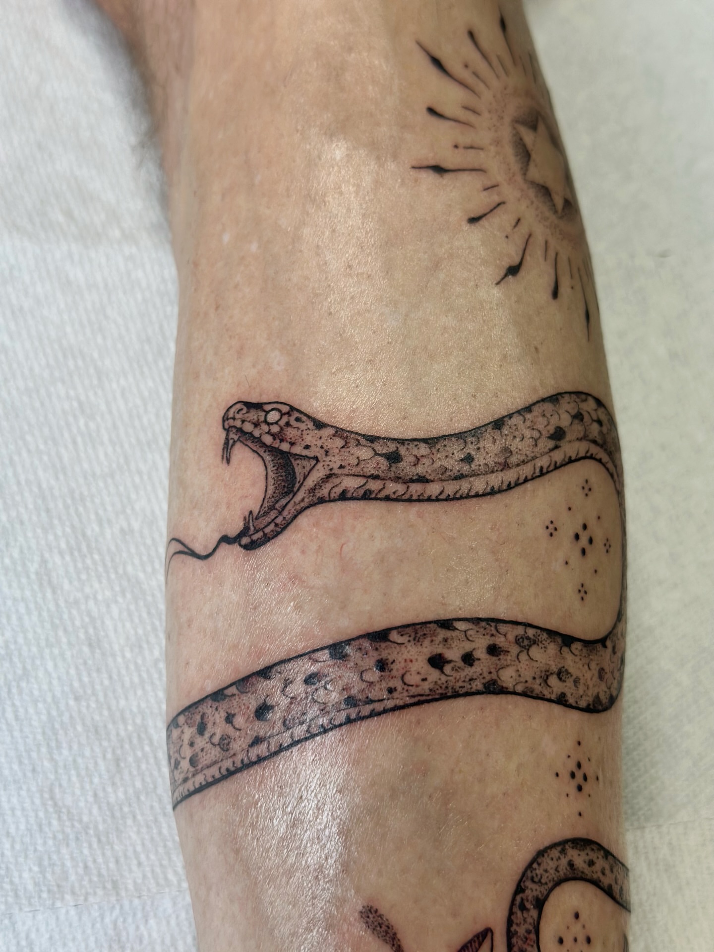 Snake dotwork tattoo on the forearm by Santiago Don, Portland, Oregon