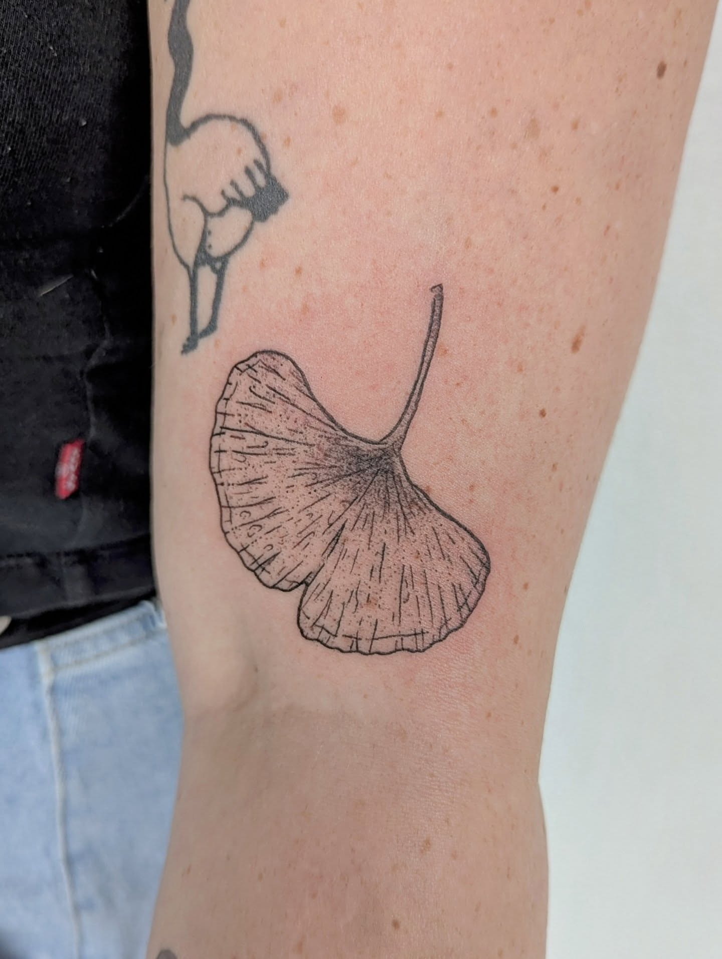 Gingko leaf dotwork tattoo on the forearm by Patricio
