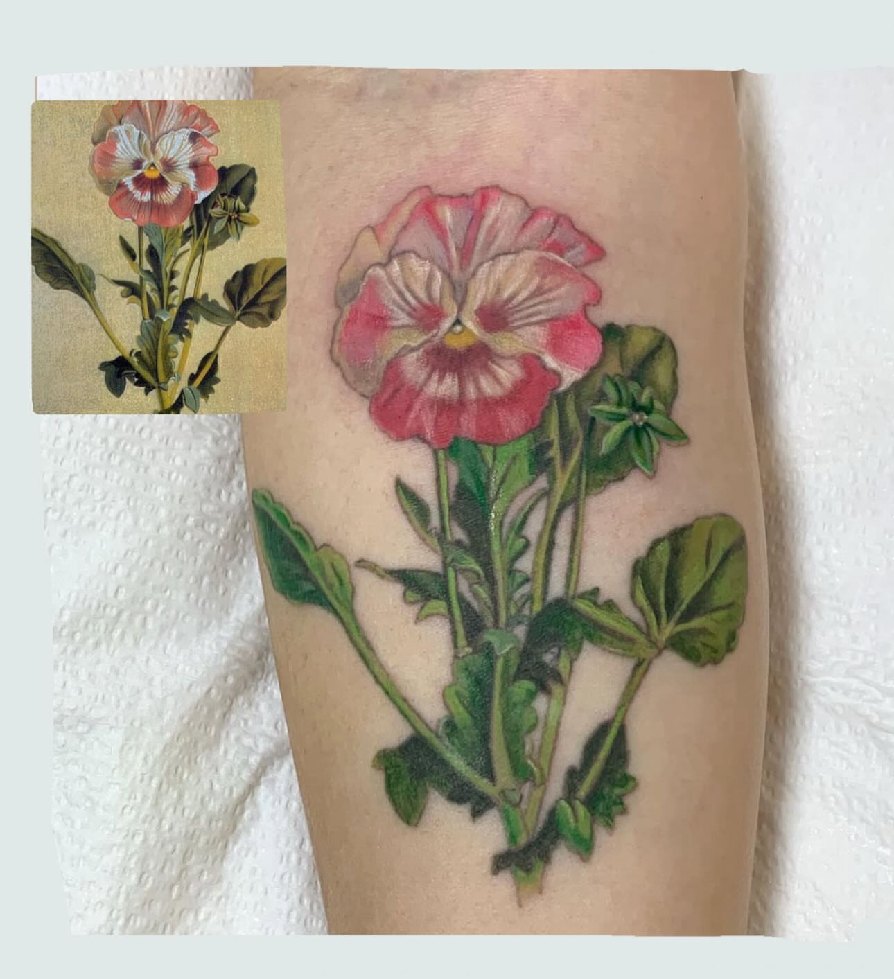 Pansy realism tattoo on the forearm by Enda 🧚🏻‍♀️
