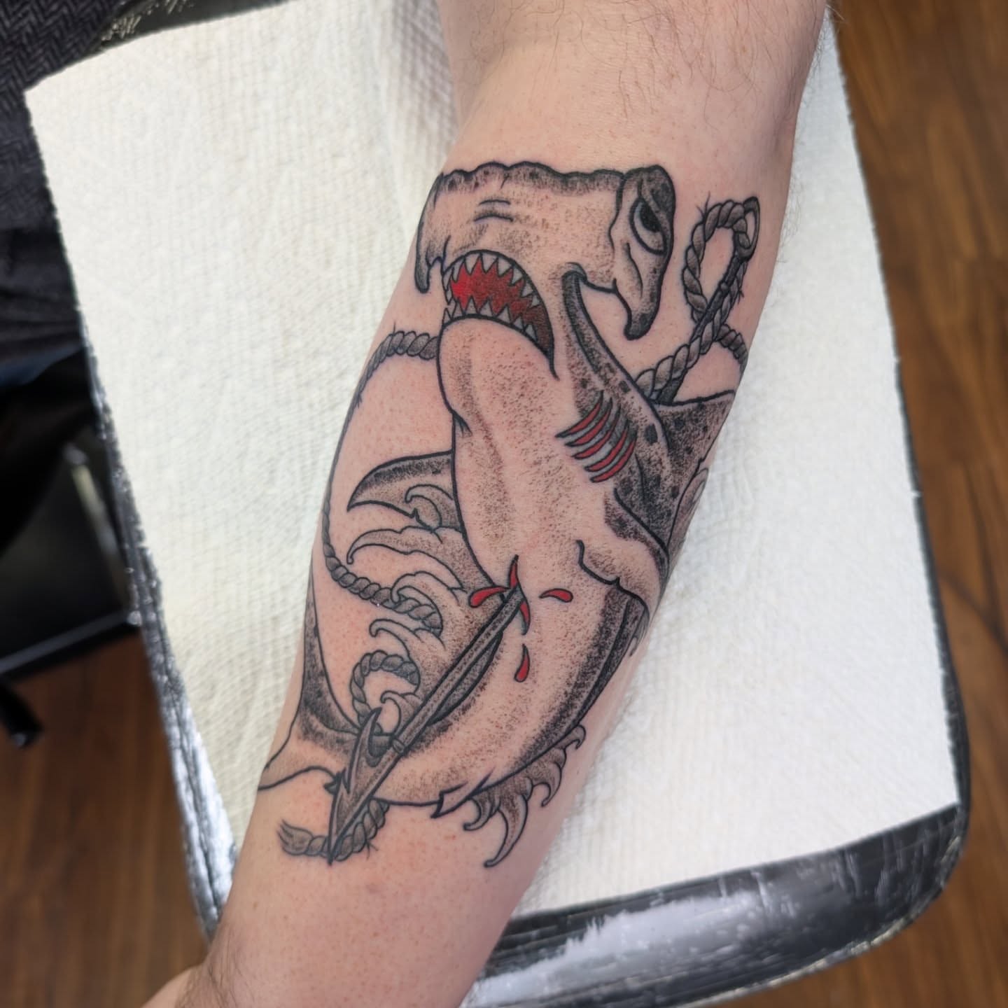 Shark with rope American traditional tattoo on the forearm by Will Alexander, Lombard, Illinois
