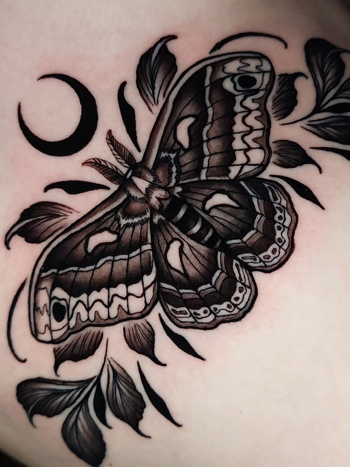 Butterfly black and grey tattoo on the torso by Mario Romero