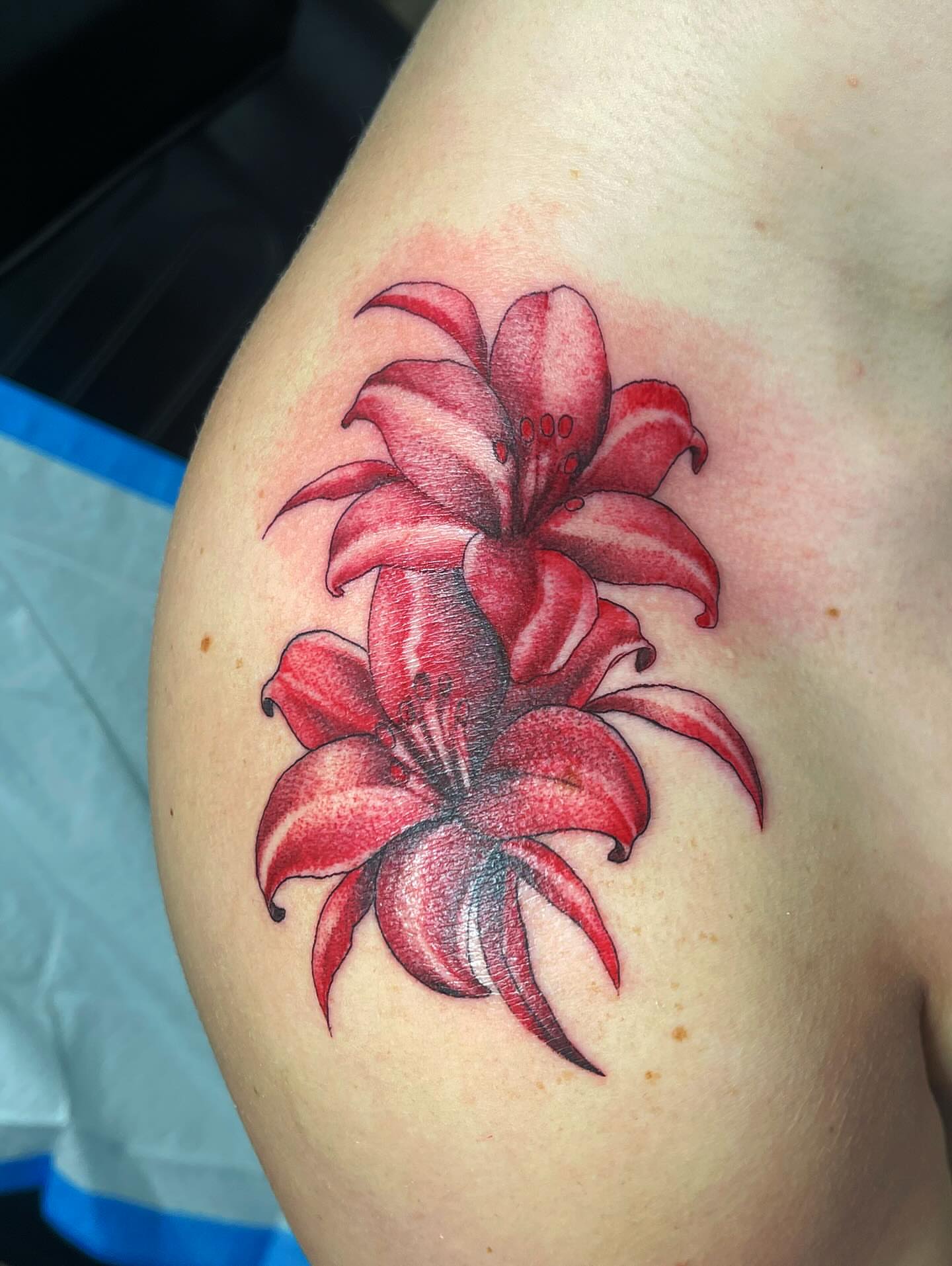 Red lily dotwork tattoo on the shoulder by Emily