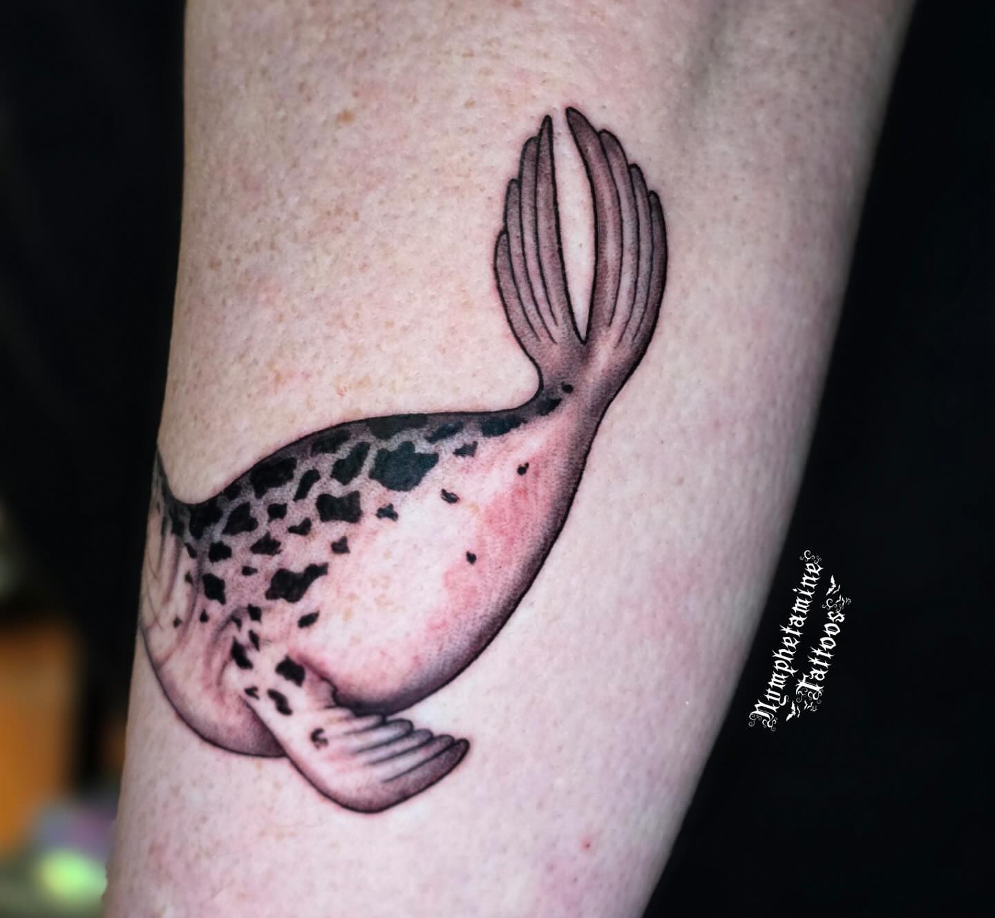 Puffer fish realism tattoo on the forearm by ๐ธ๐๐๐๐๐๐๐๐