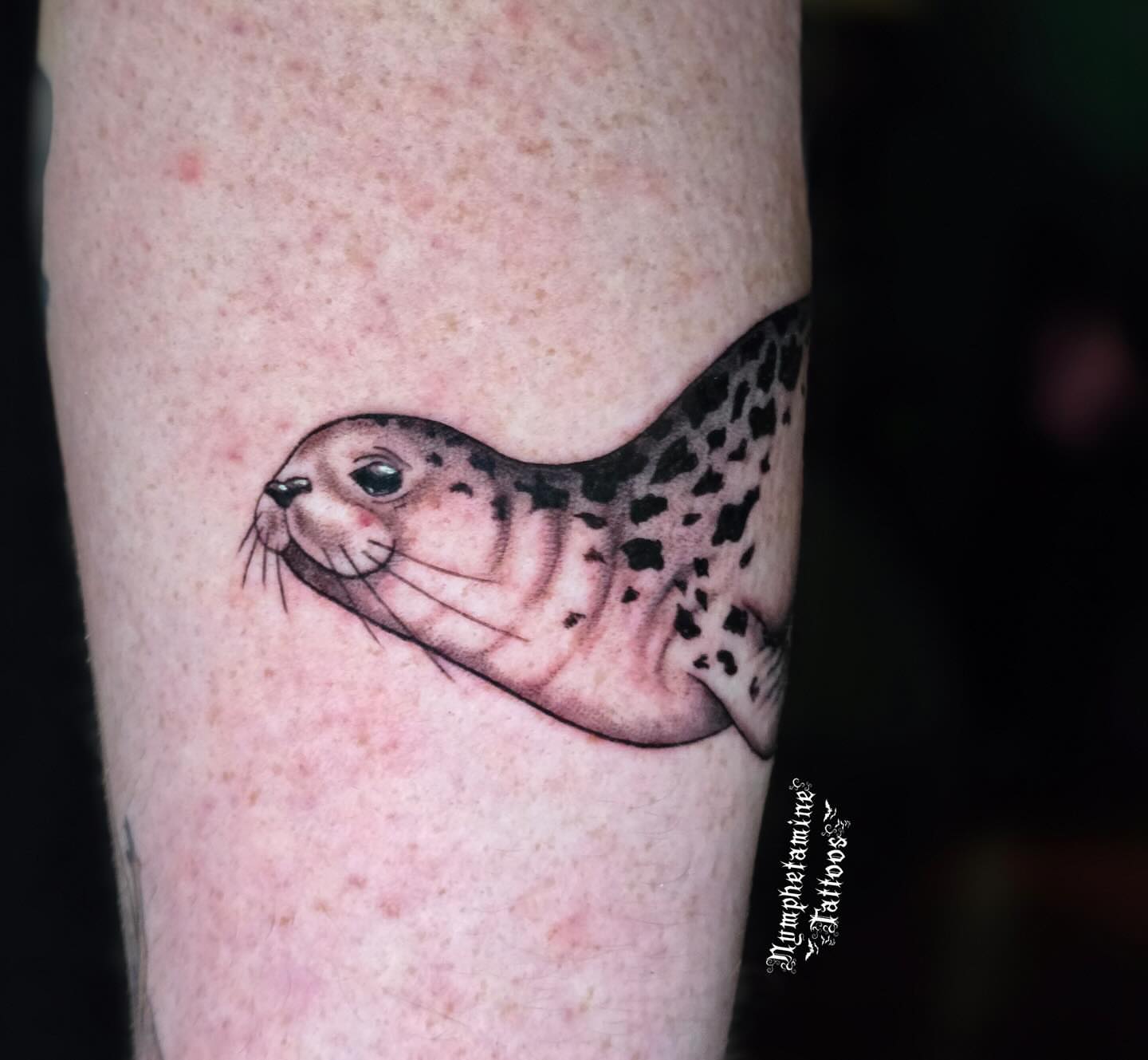 Seal realism tattoo on the forearm by ๐ธ๐๐๐๐๐๐๐๐