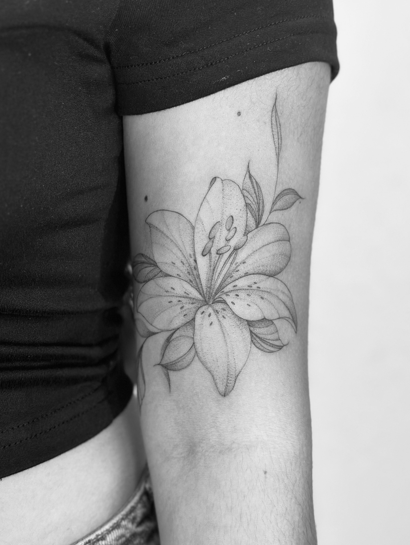 Tattoo by @xiu.tattoos — dotwork, realism