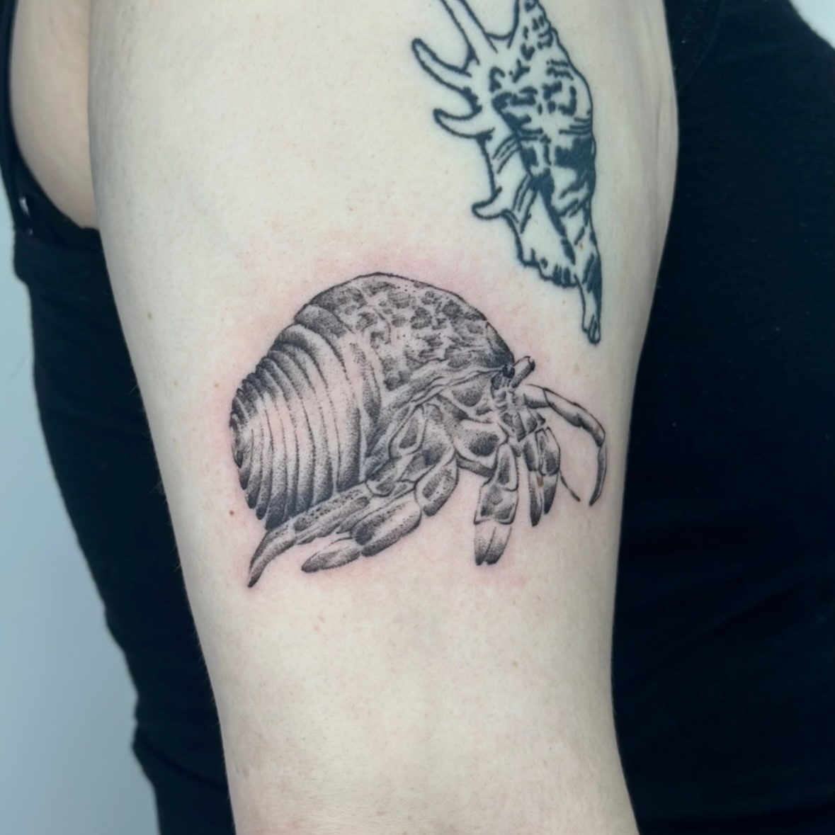 Hermit crab dotwork tattoo on the forearm by edie ☆ kansas tattoo artist, Lawrence, Kansas