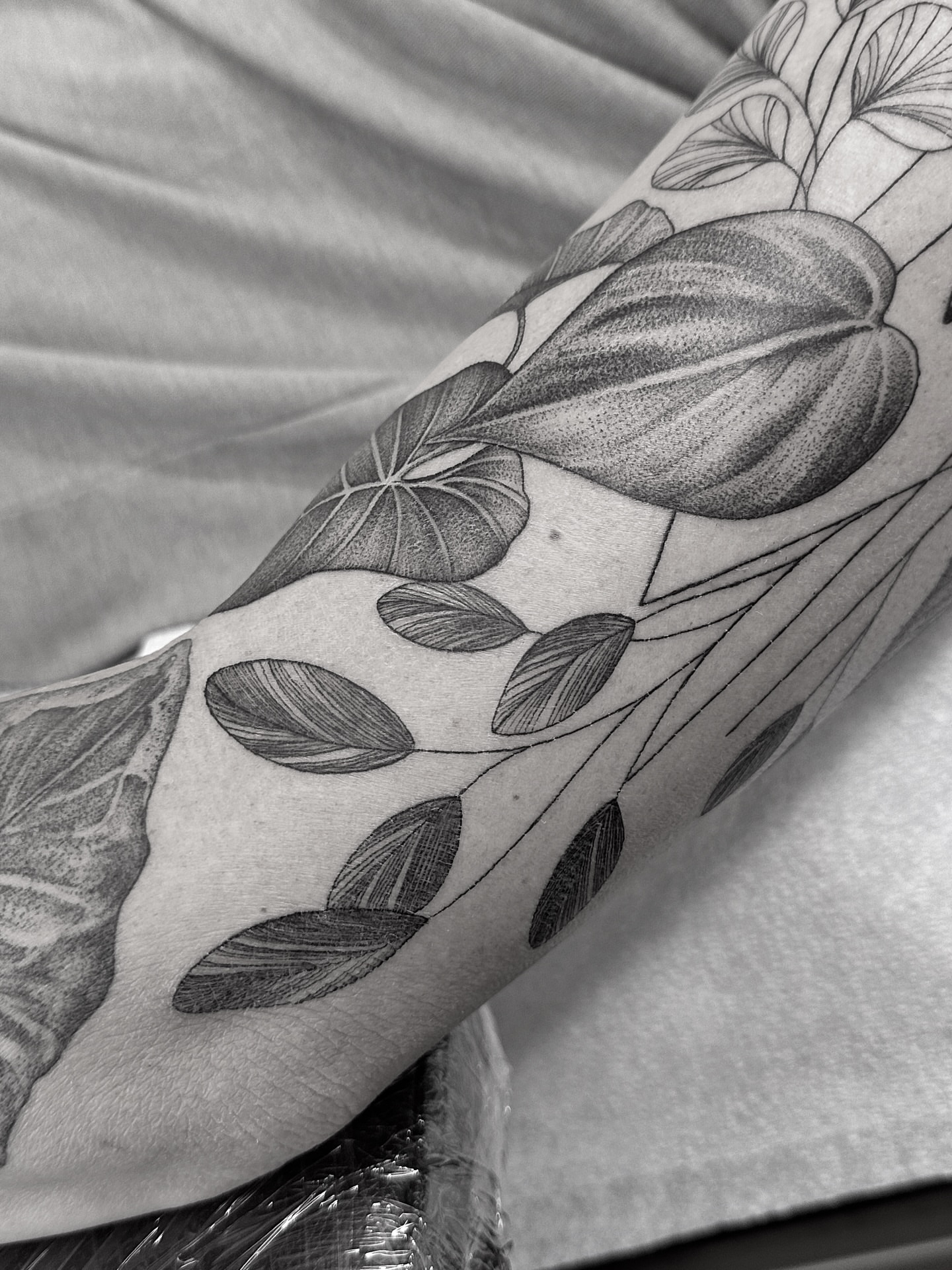 Tattoo by @art.byjaclyn — dotwork, black_and_grey
