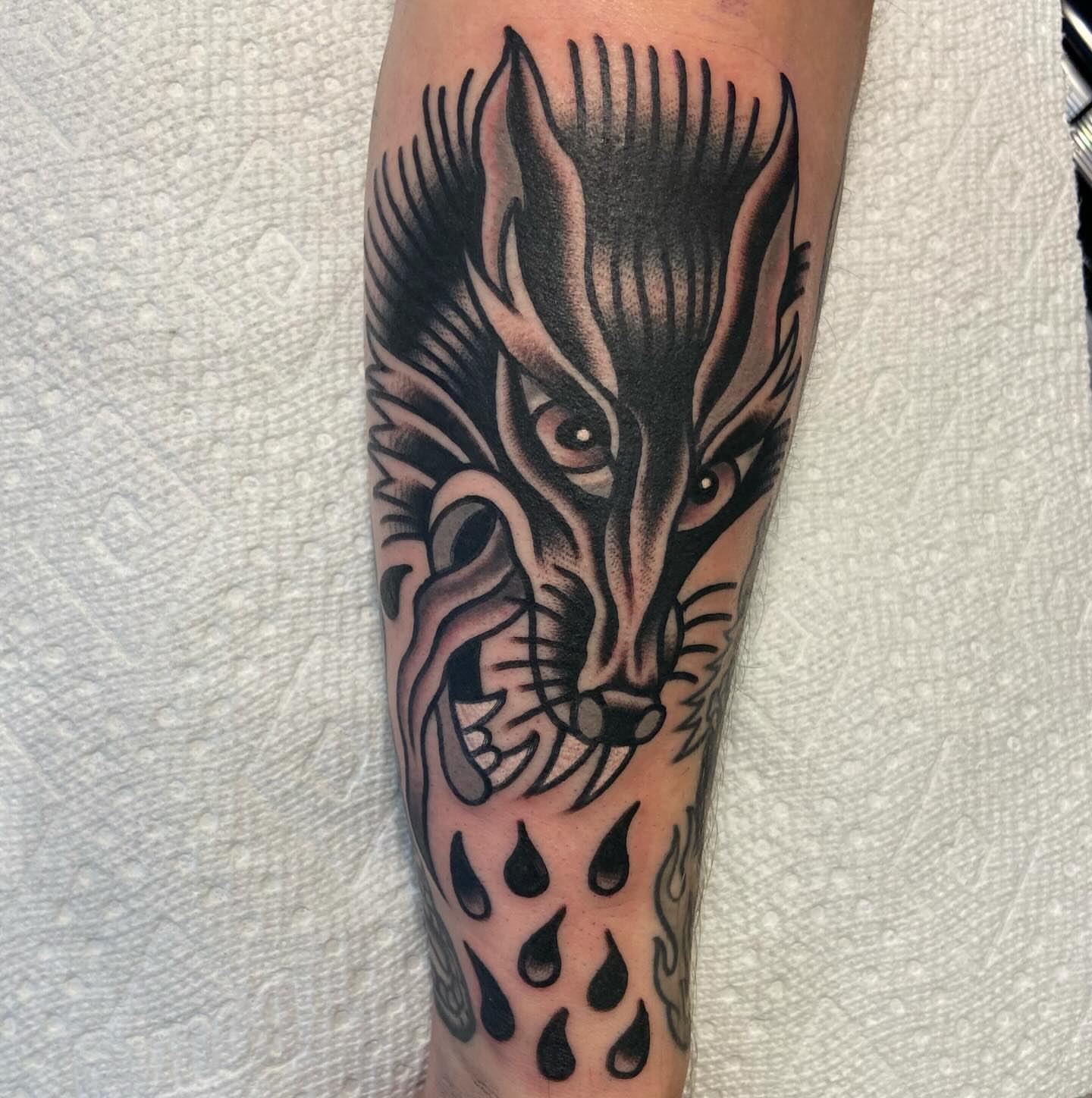 Wolf American traditional tattoo on the forearm by Anthony Jaeger, Seattle, Washington
