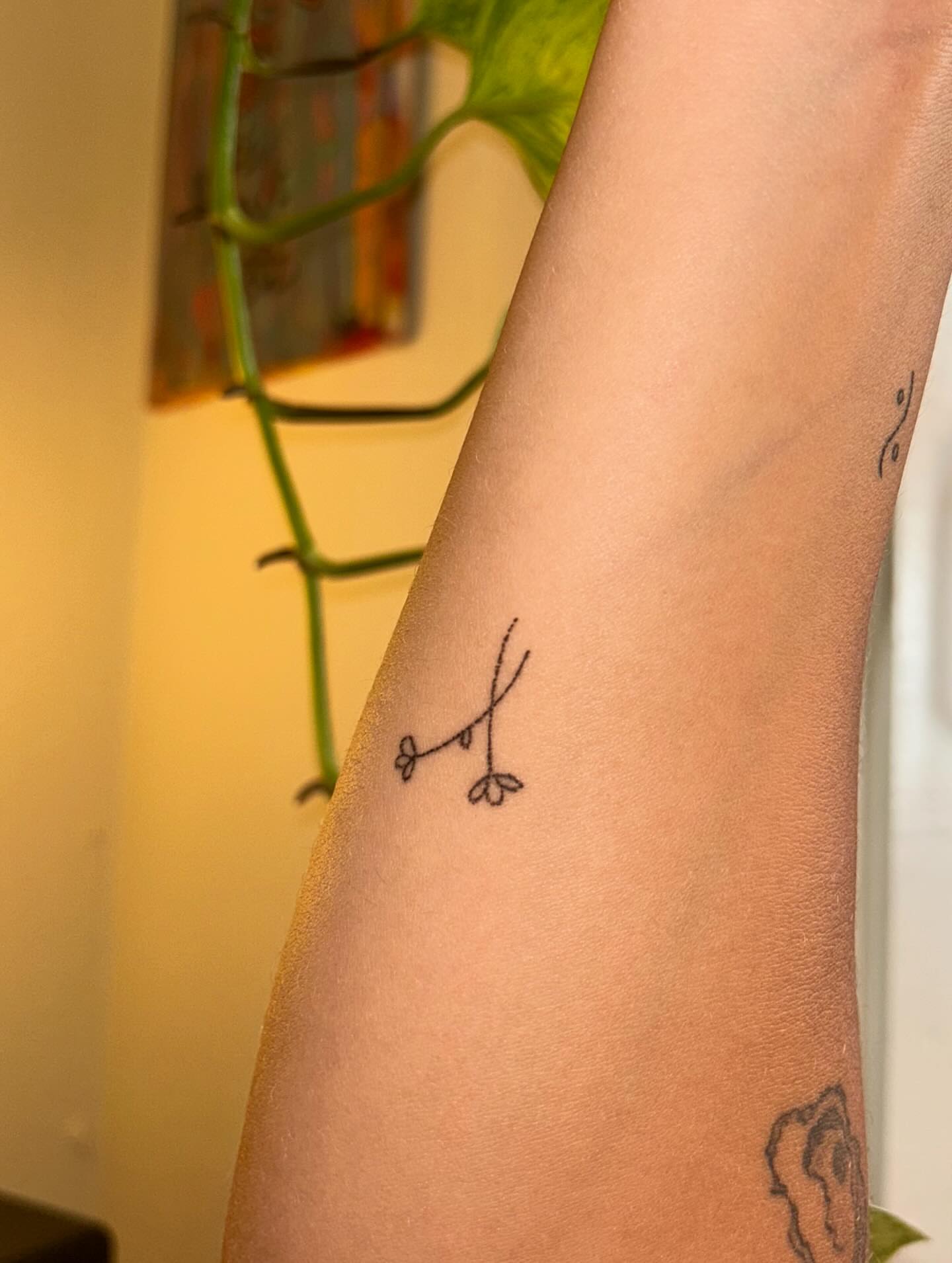 Bird fine line tattoo on the forearm by Alyssa