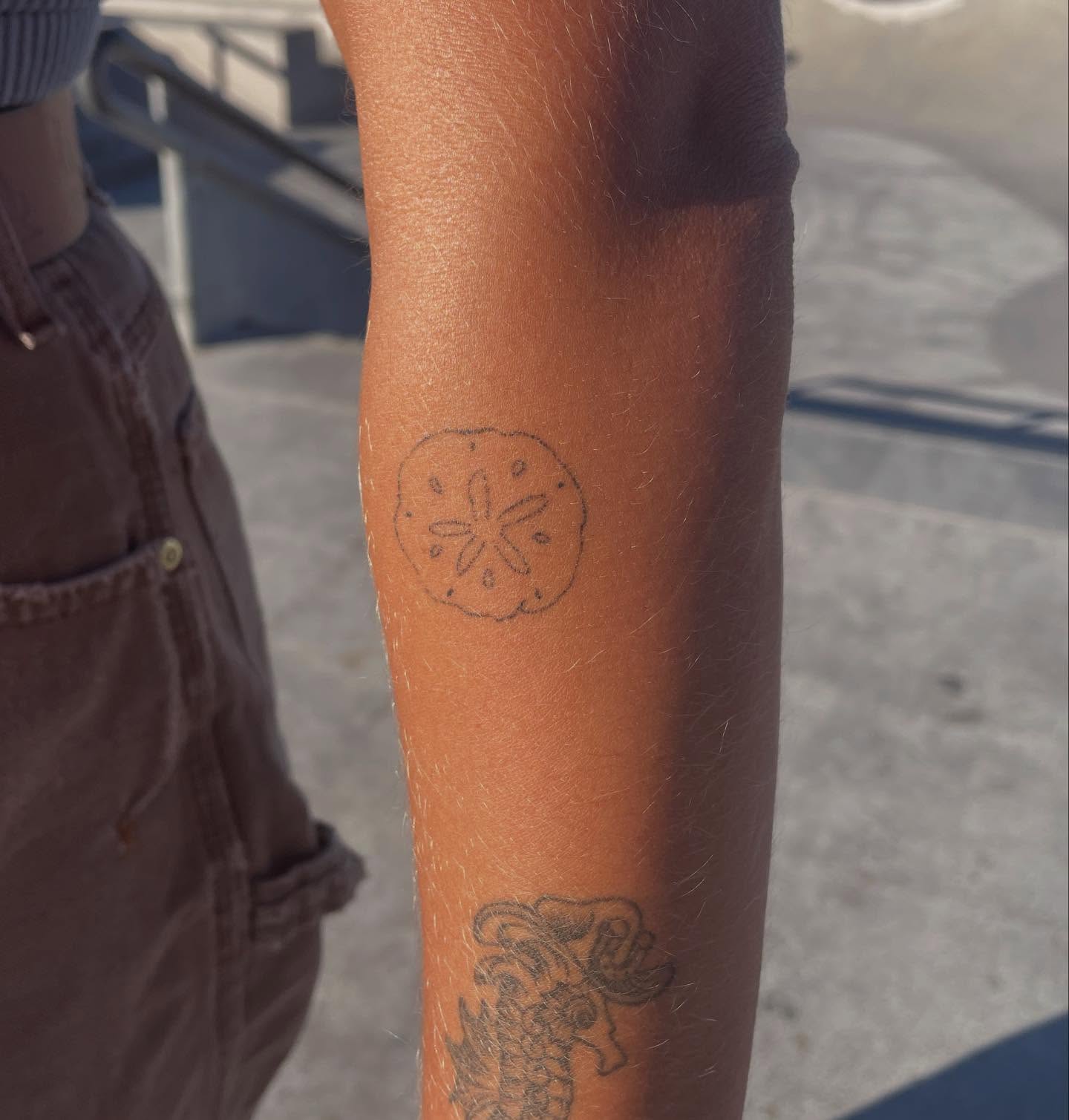 Sand dollar dotwork tattoo on the forearm by Alyssa