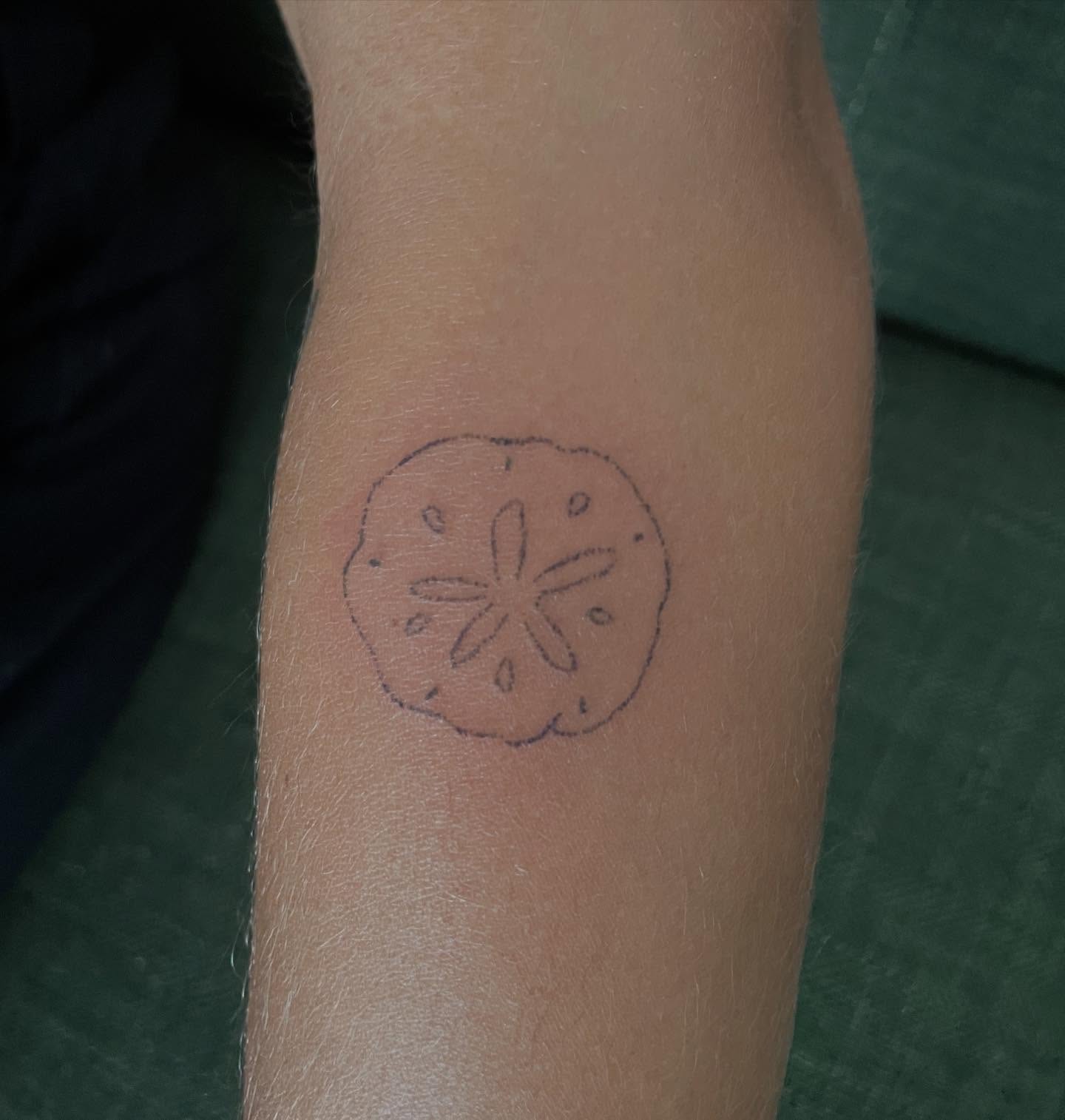 Sand dollar geometric tattoo on the forearm by Alyssa