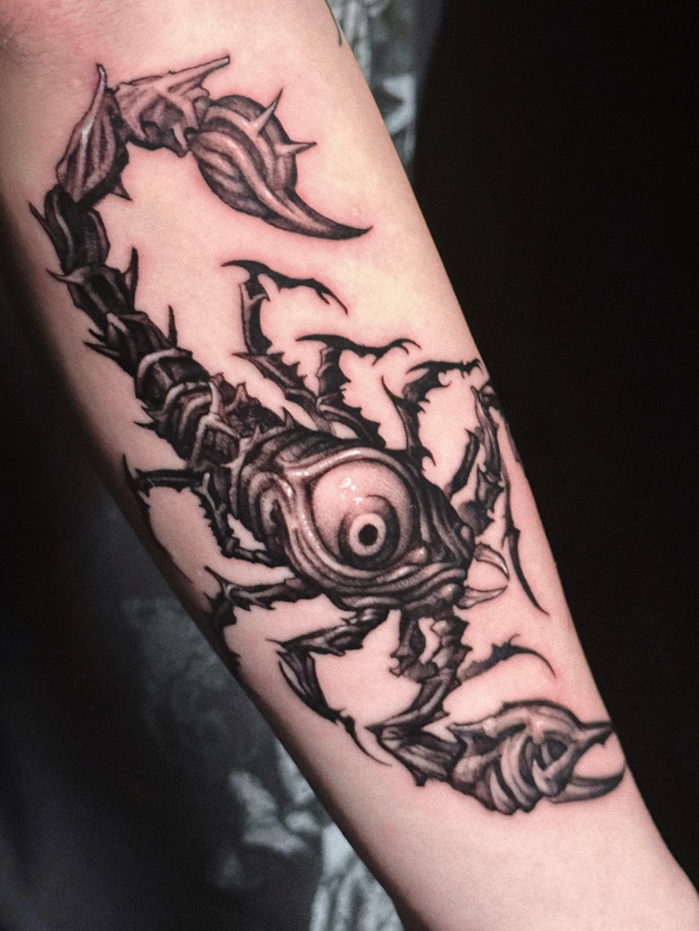 Scorpion black and grey tattoo on the forearm by 두식