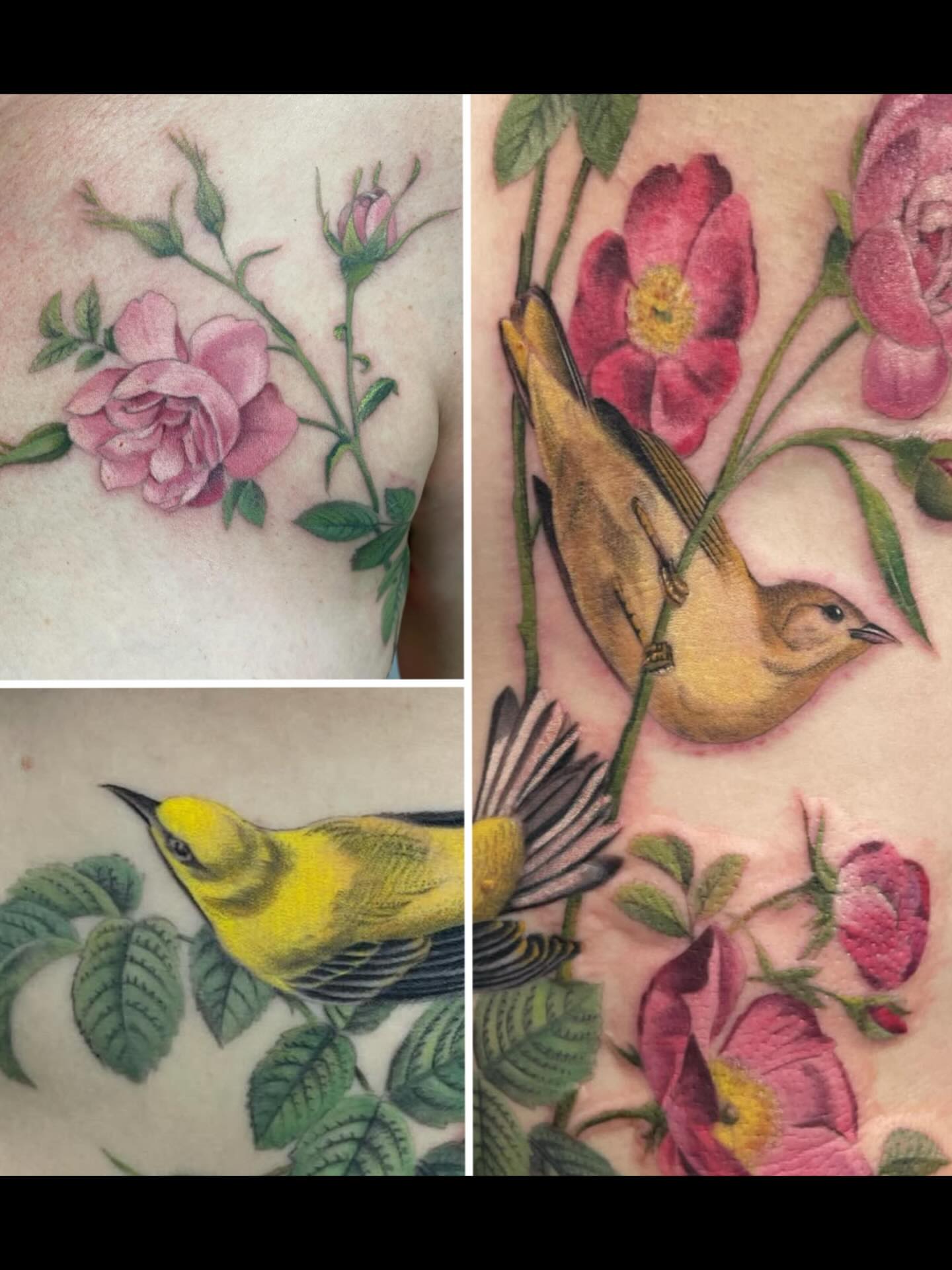 Bird and roses realism tattoo on the chest by Lu Taylor, Minneapolis, Minnesota