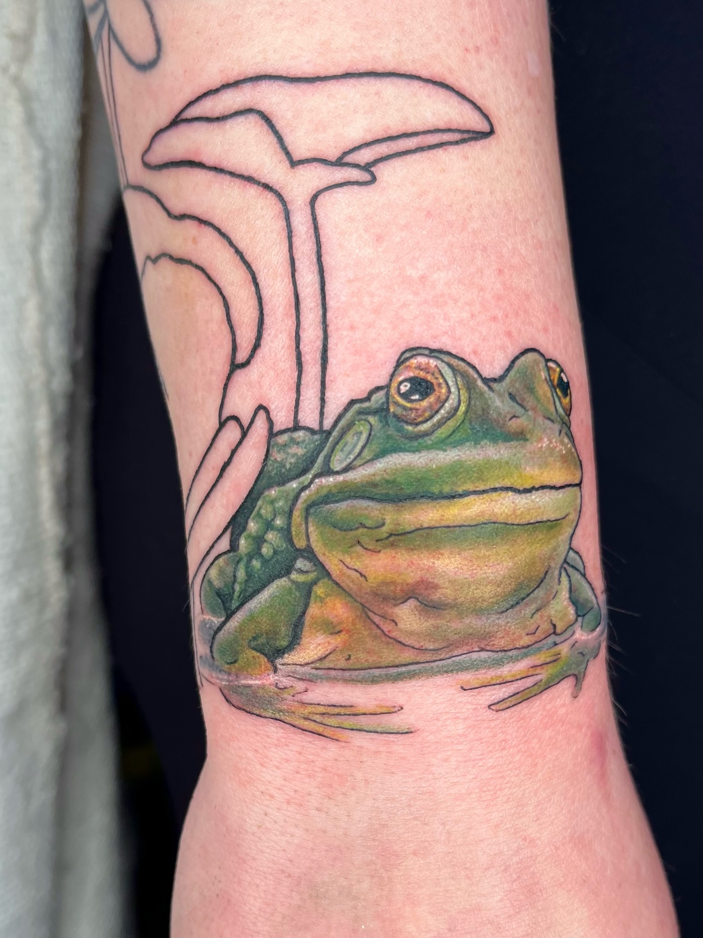 Frog realism tattoo on the forearm by Maris Hare, Philadelphia, Pennsylvania