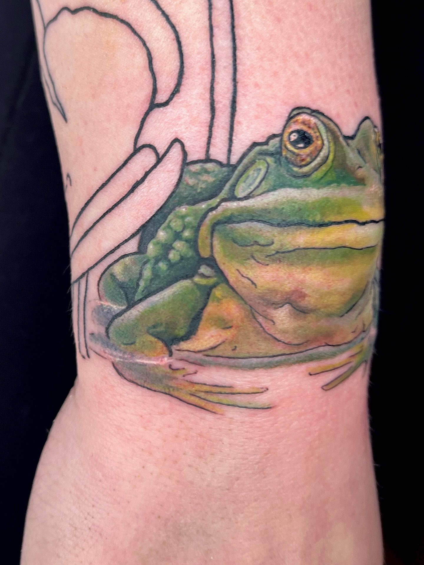 Frog realism tattoo on the forearm by Maris Hare, Philadelphia, Pennsylvania
