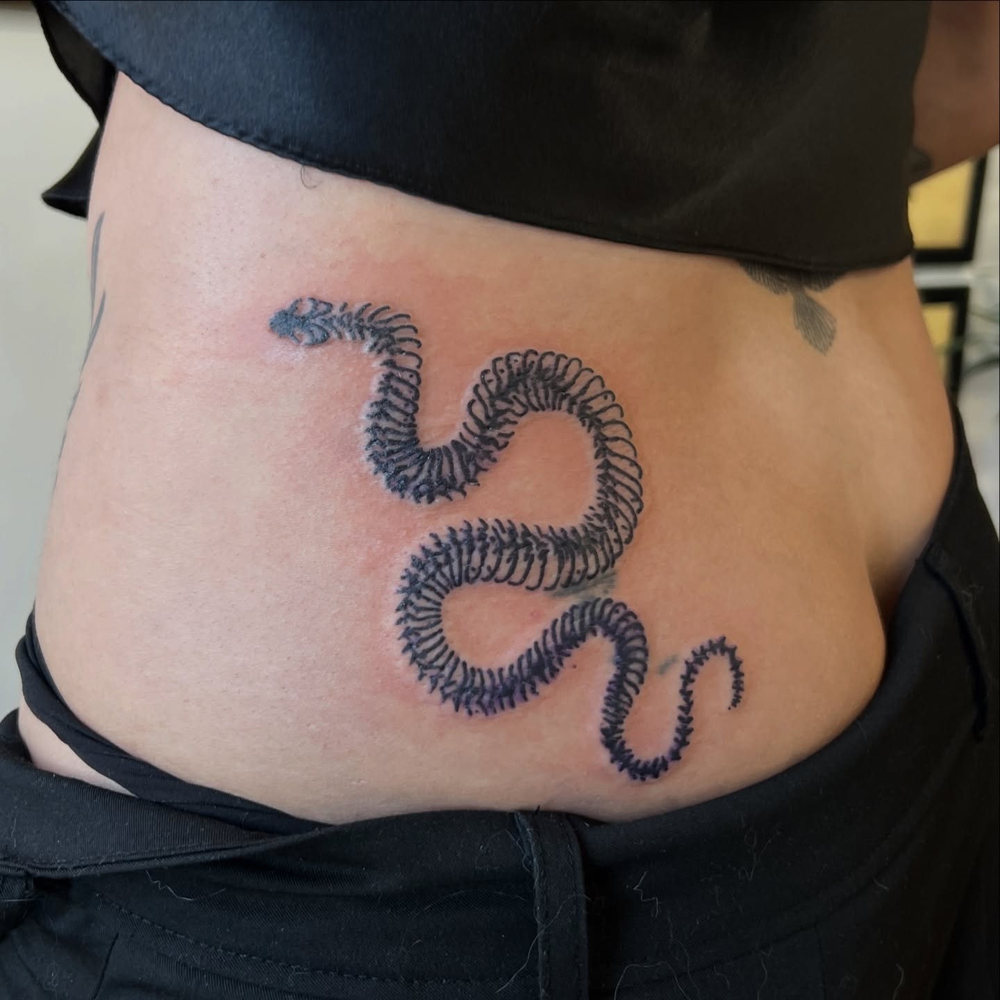 Snake black and grey tattoo on the torso by @syrenbier, San Francisco, California