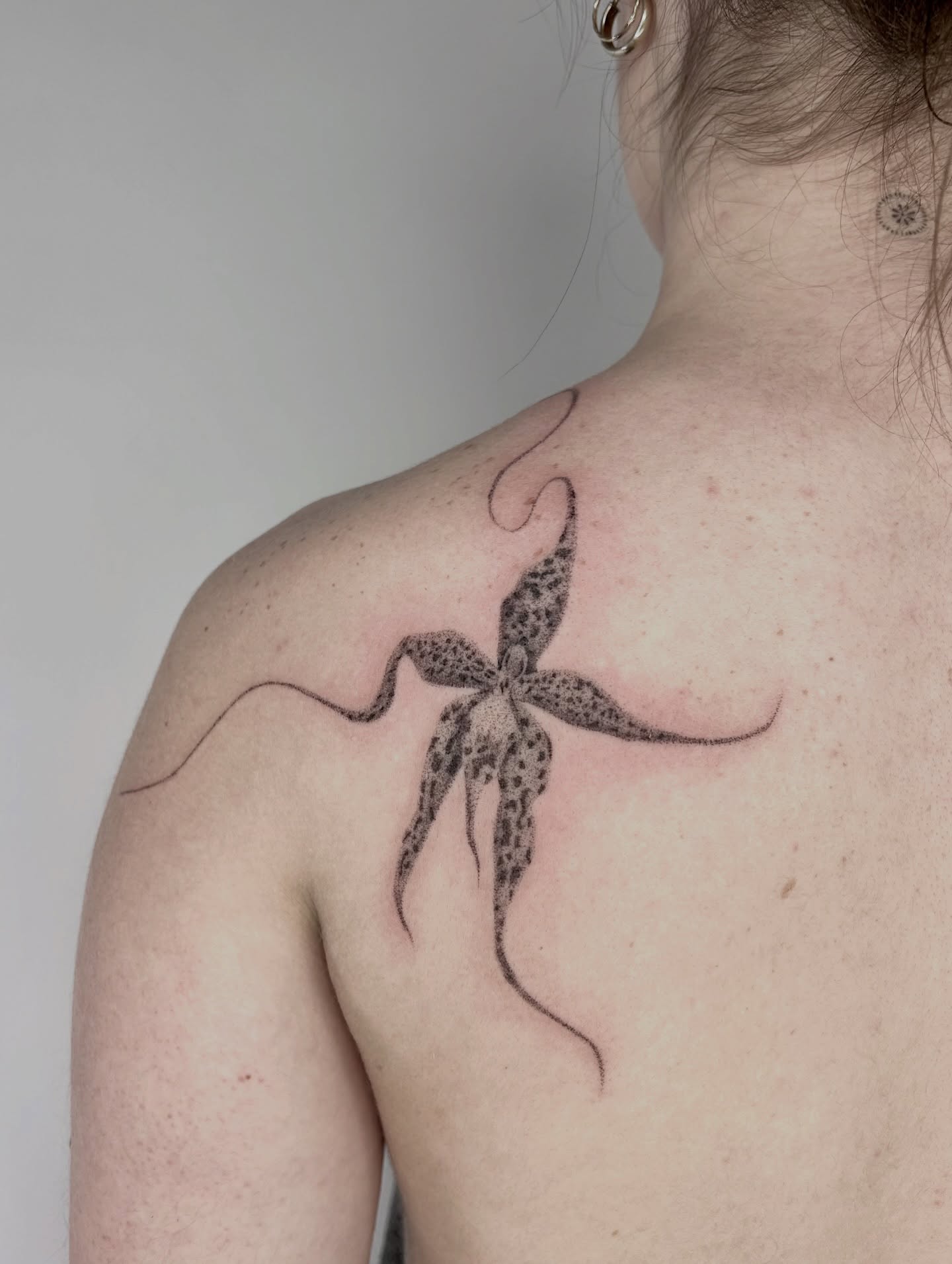 Octopus dotwork tattoo on the shoulder by Kennedy Ramey
