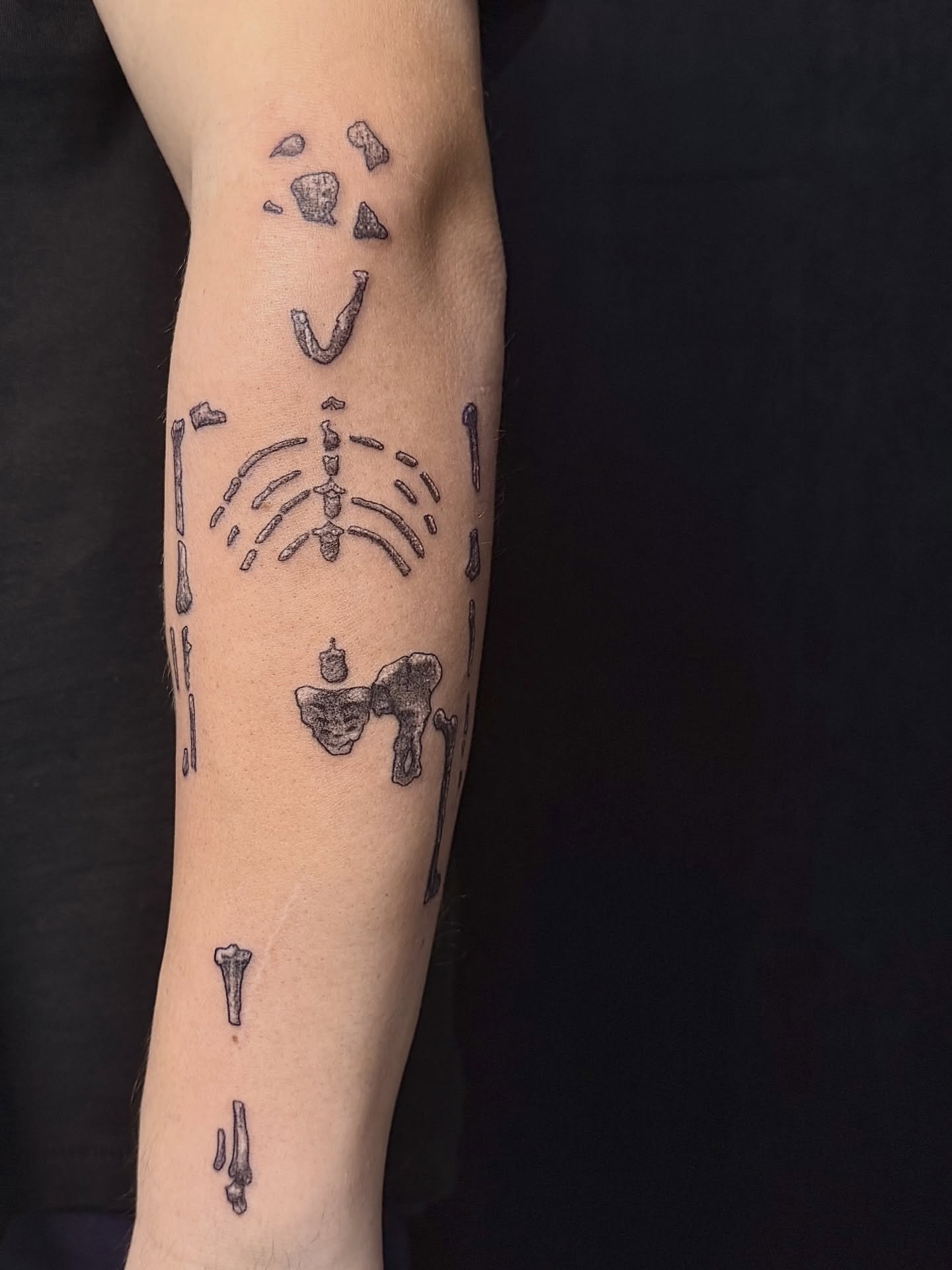 Skeleton dotwork tattoo on the forearm by Will McCoy (Tattooist), Murray, Utah