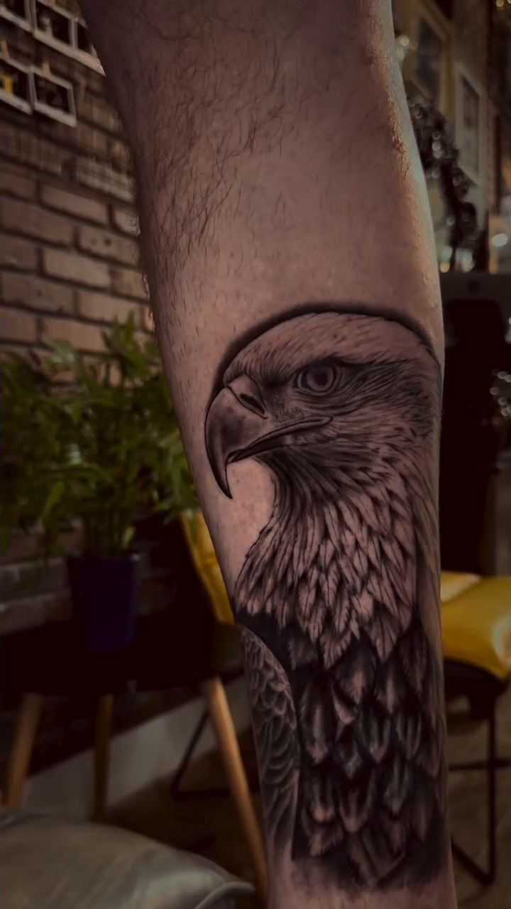 Eagle portrait realism tattoo by Tiago Britto