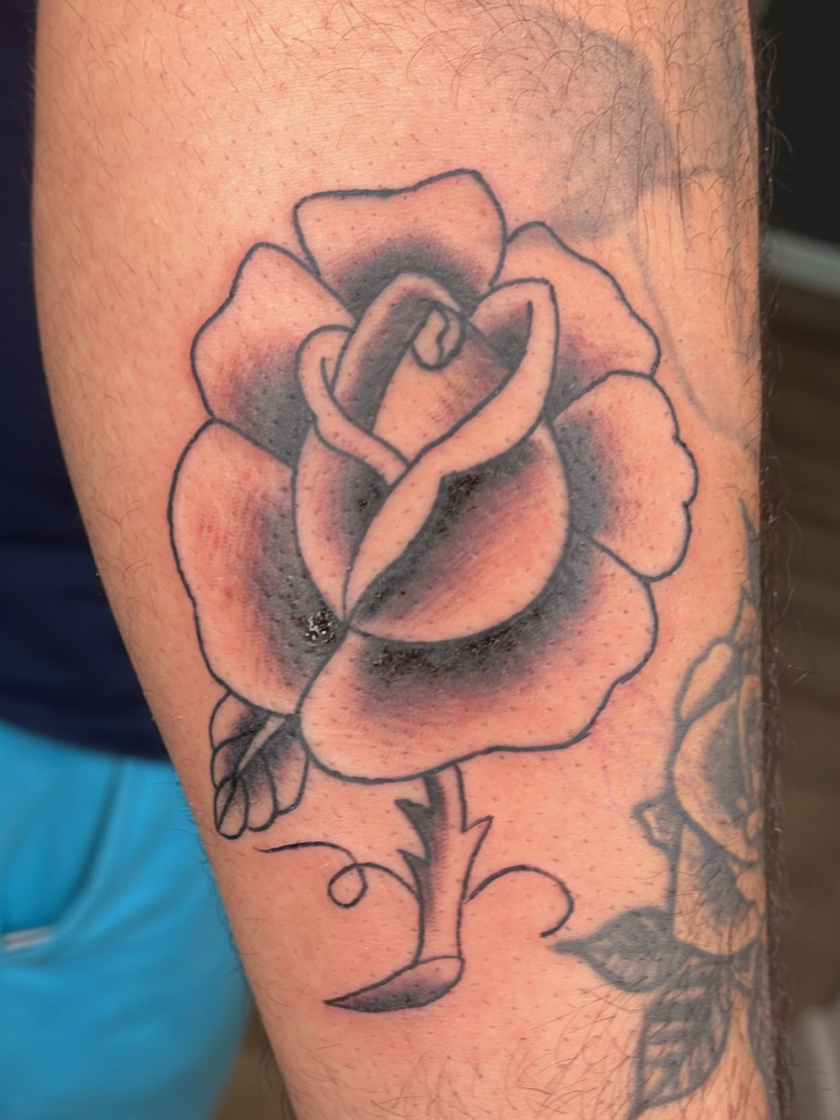 Rose black and grey tattoo on the forearm by Flor, Dallas, Texas