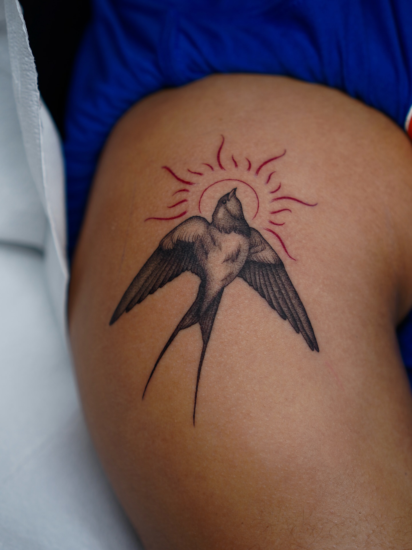 Swallow and sun black and grey tattoo on the thigh by Carlos Abad