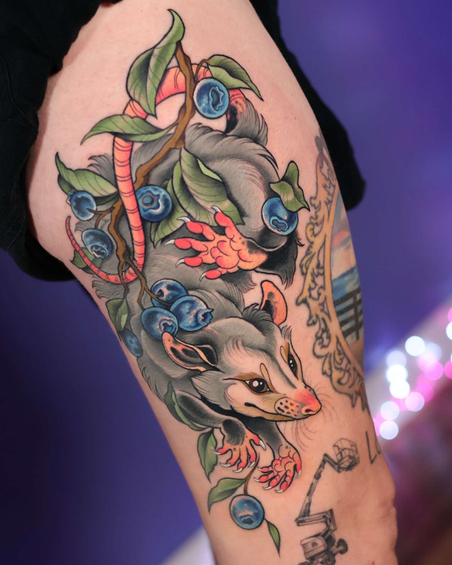 Tattoo by @tallsarahtattoos — american_traditional